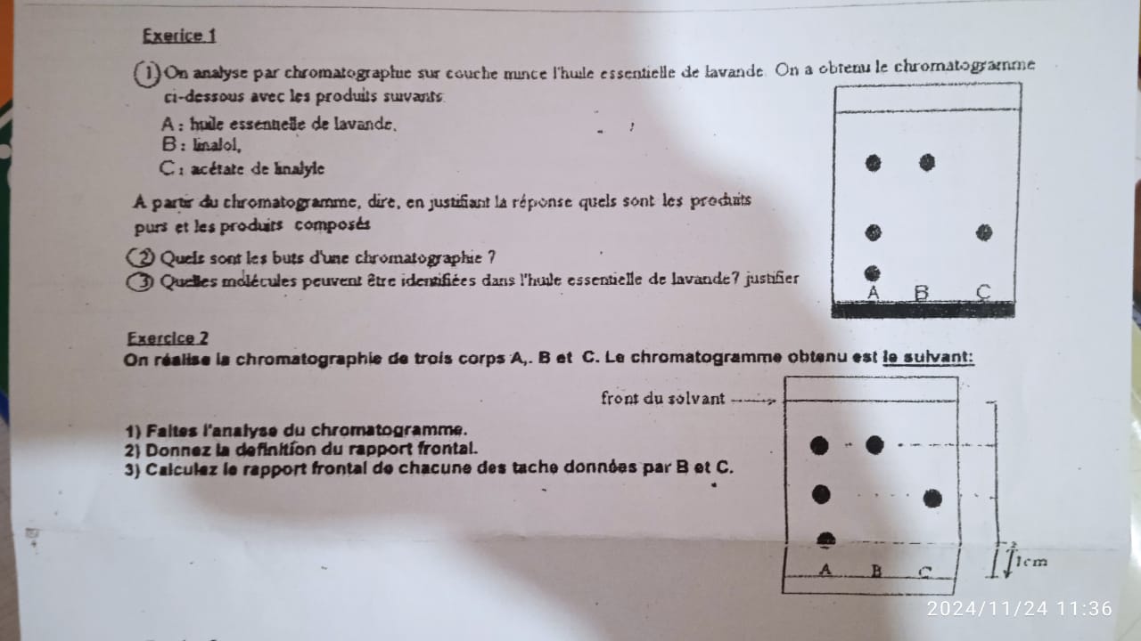 studyx-img