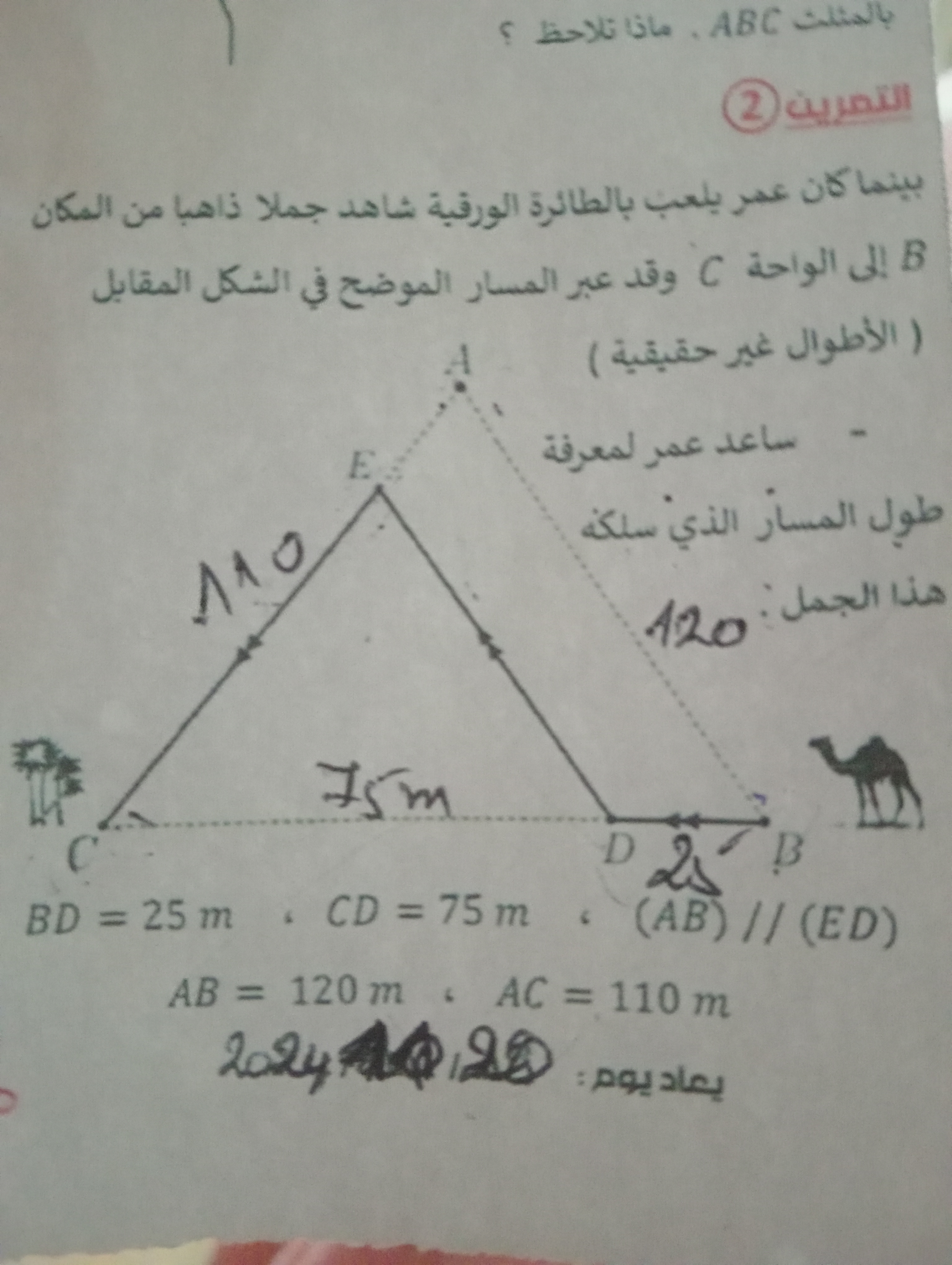 studyx-img