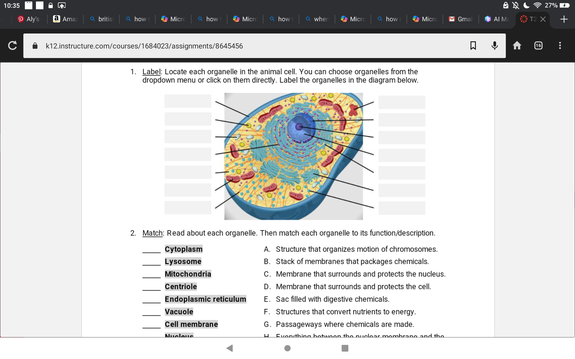 studyx-img