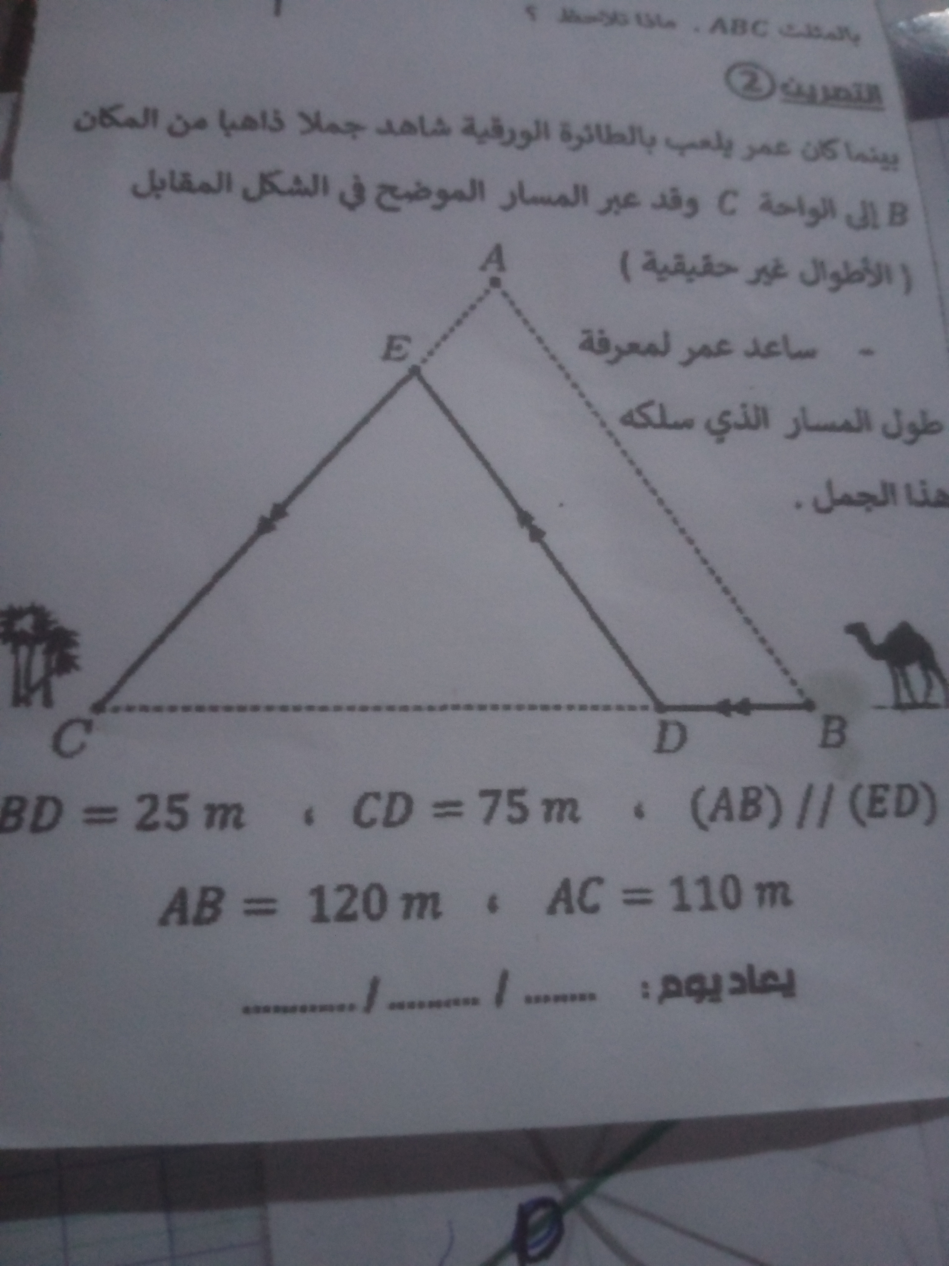 studyx-img