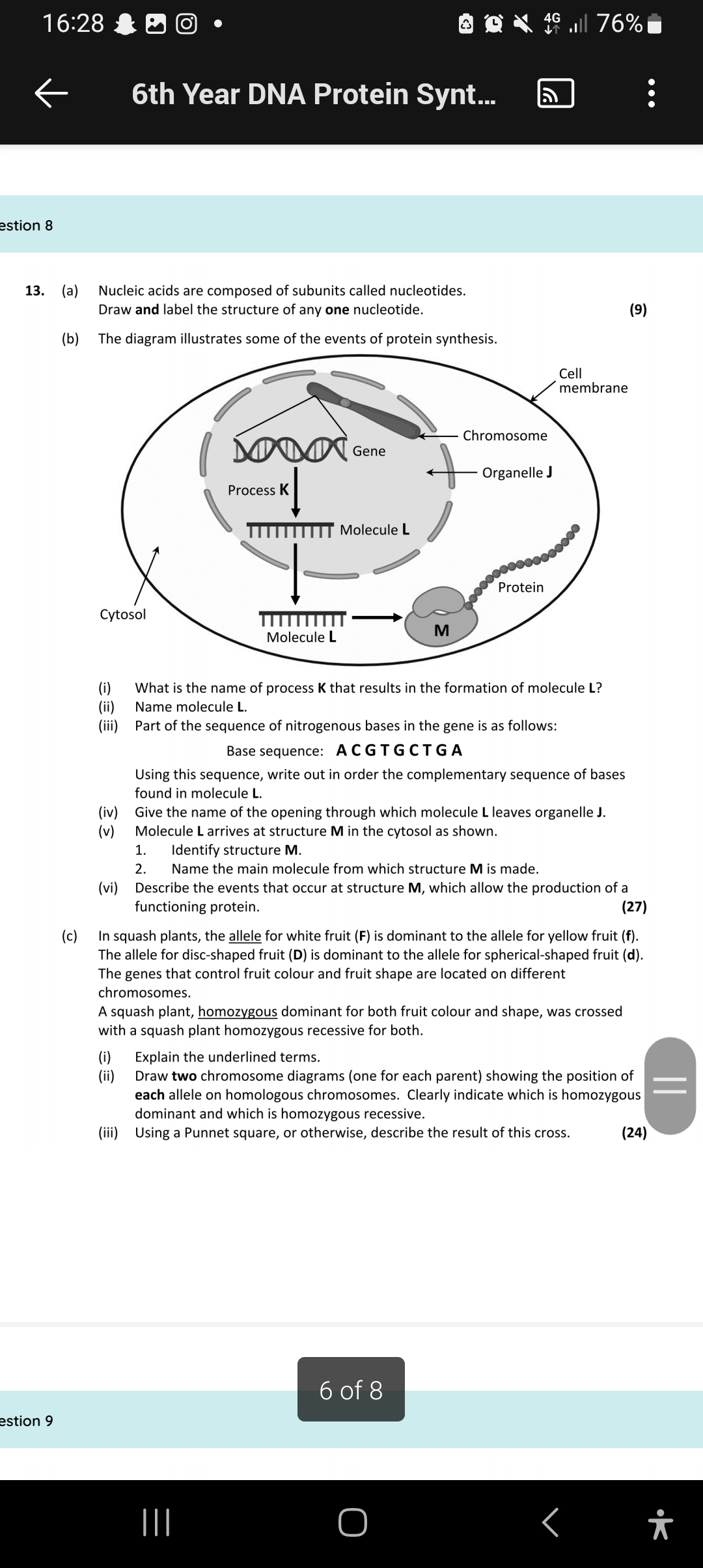 studyx-img