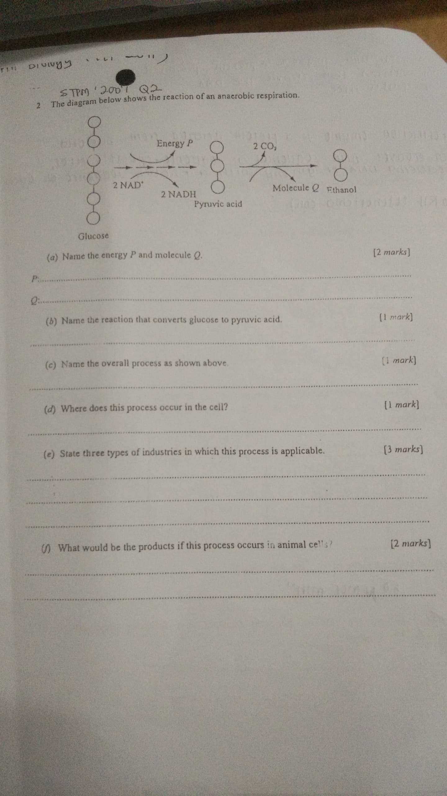 studyx-img