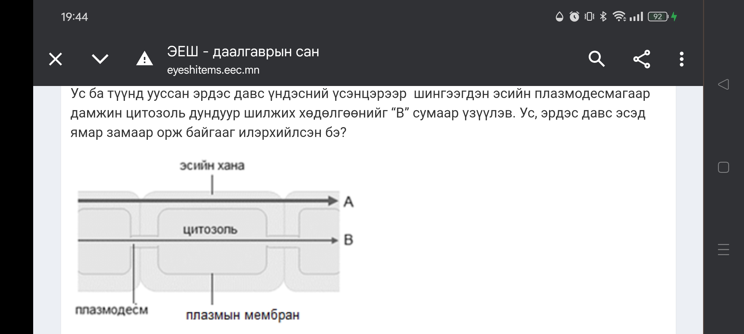 studyx-img