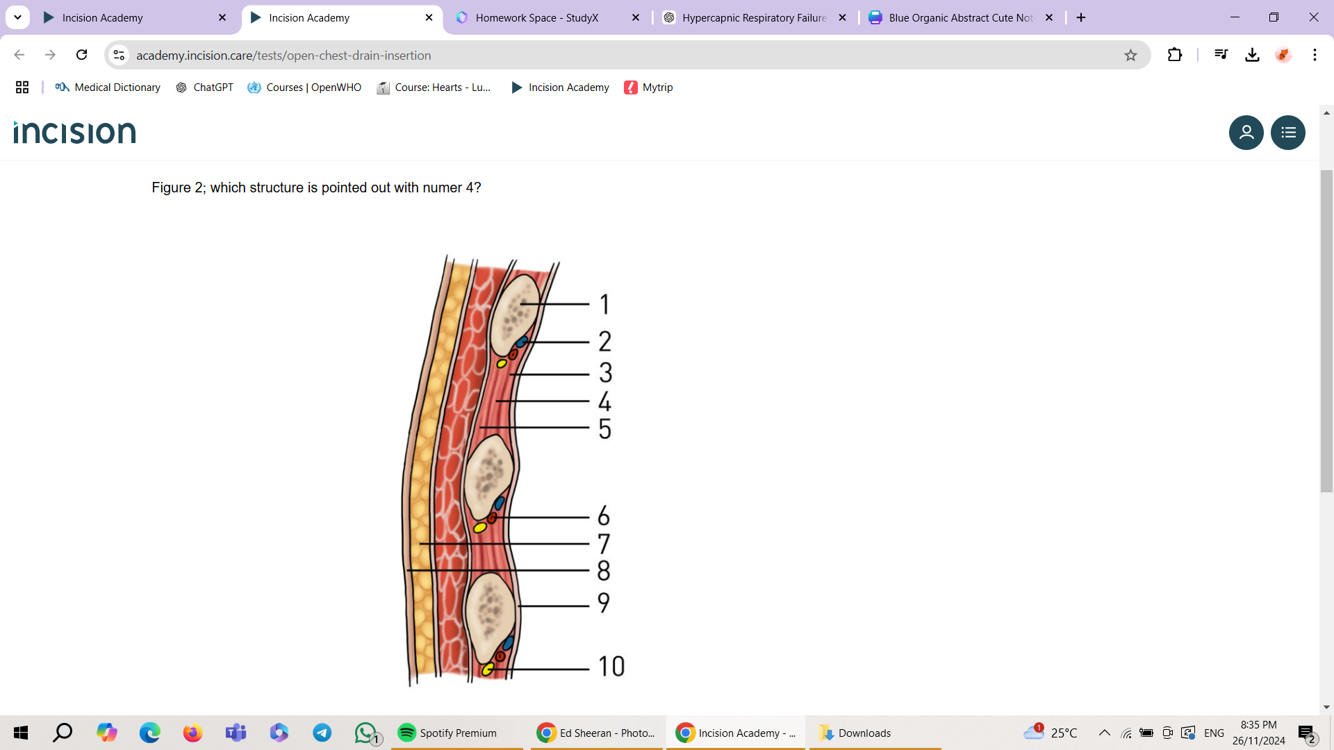 studyx-img