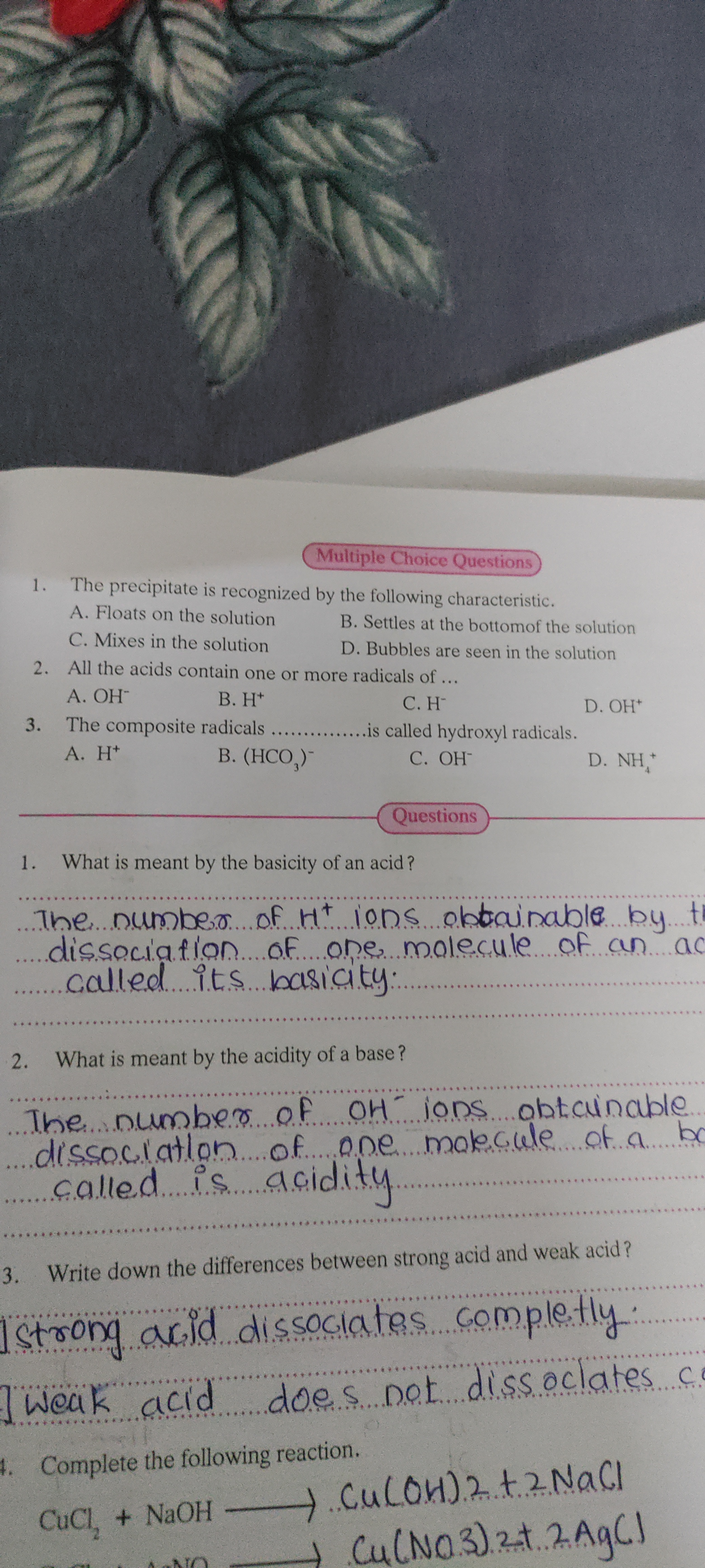 studyx-img