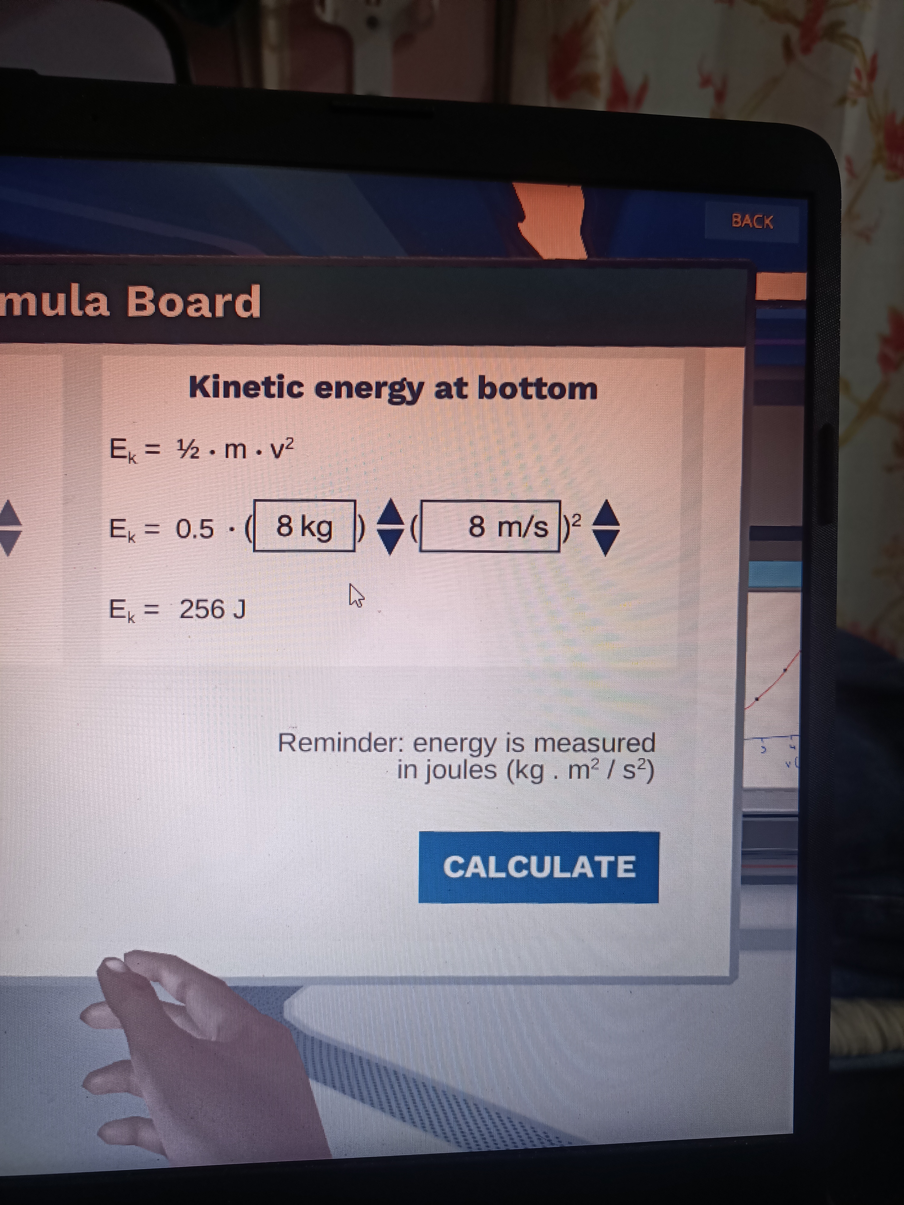 studyx-img