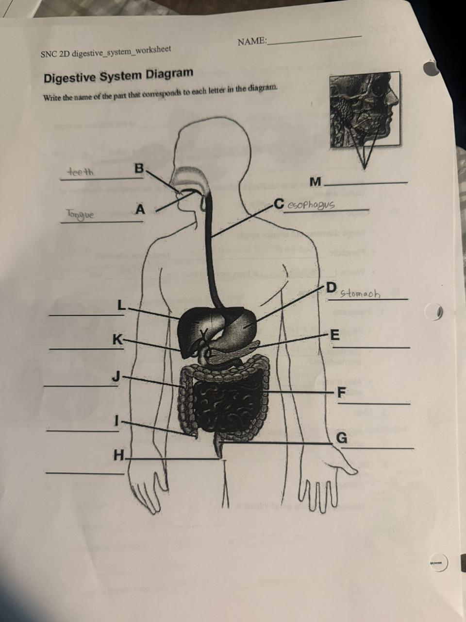 studyx-img