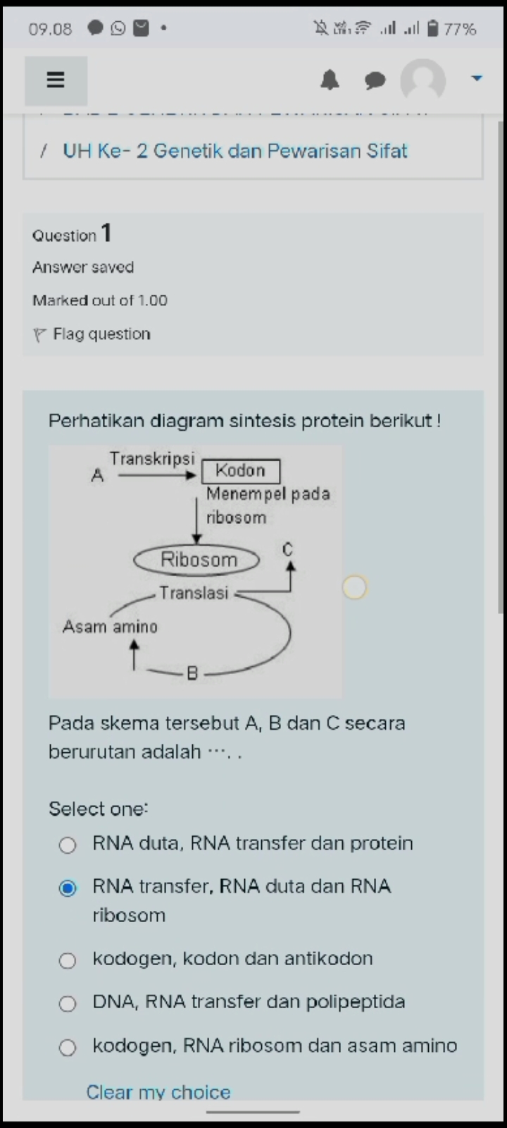 studyx-img