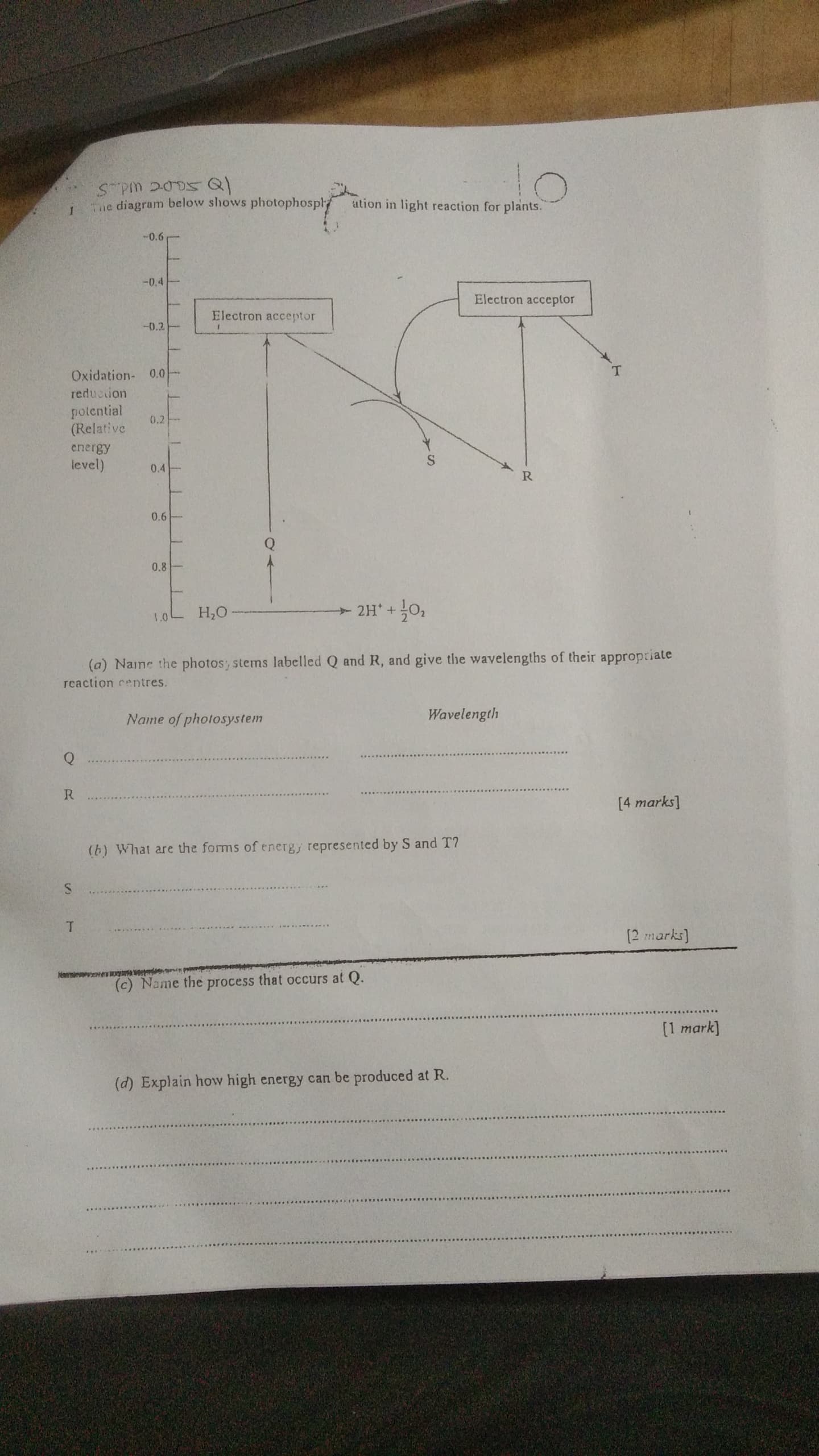 studyx-img