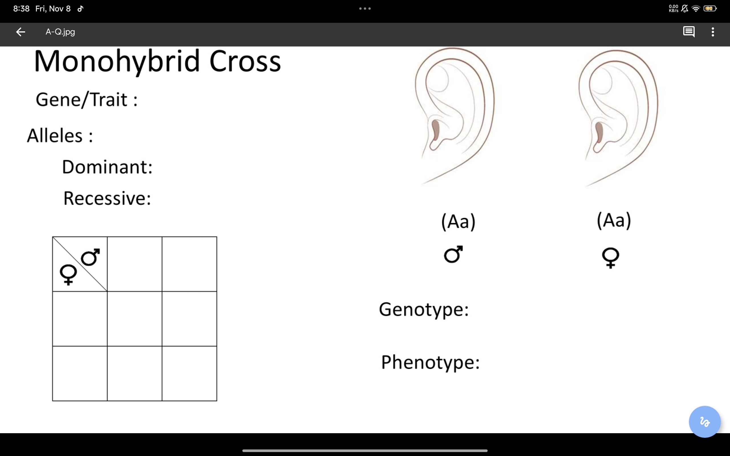 studyx-img