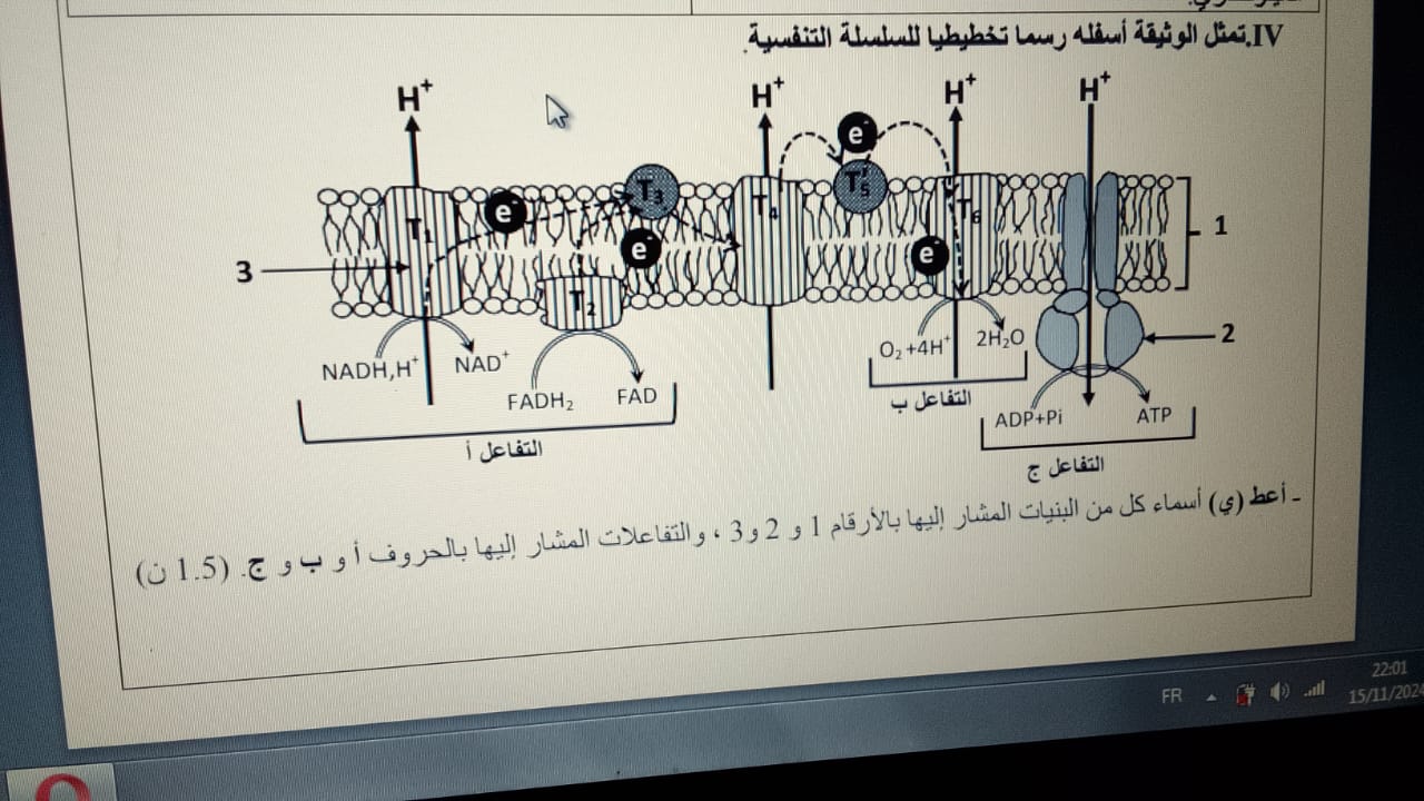 studyx-img