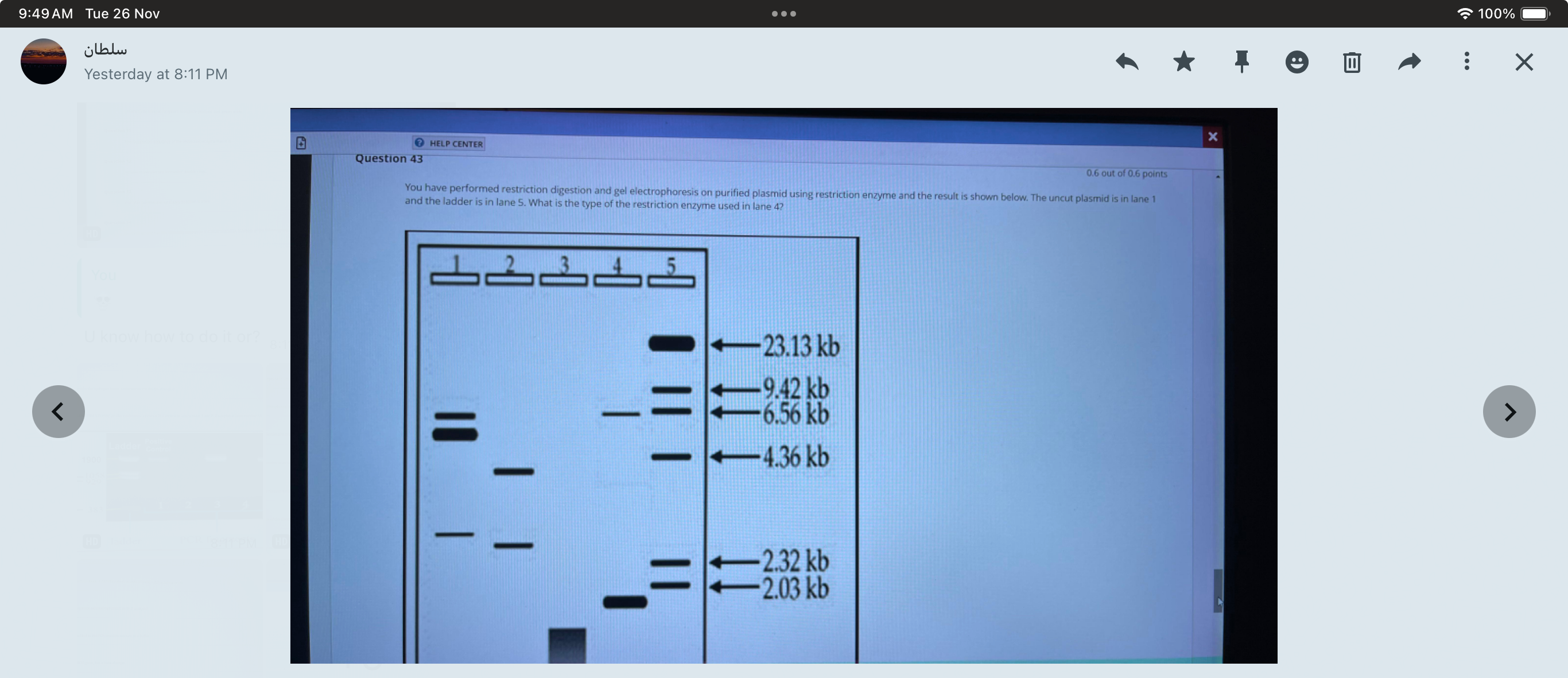 studyx-img