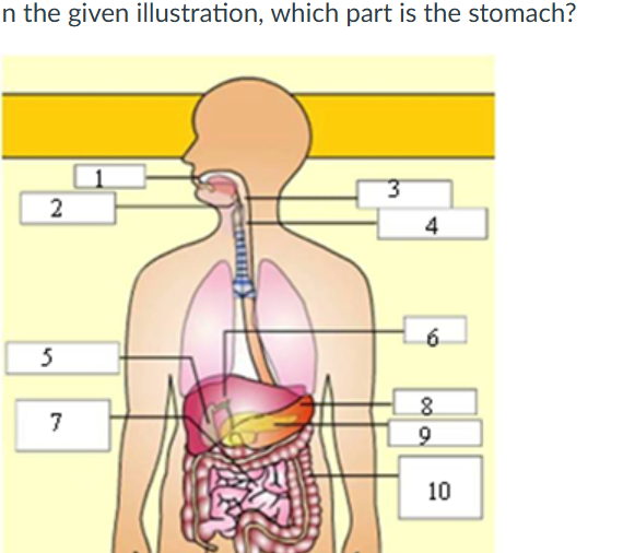 studyx-img