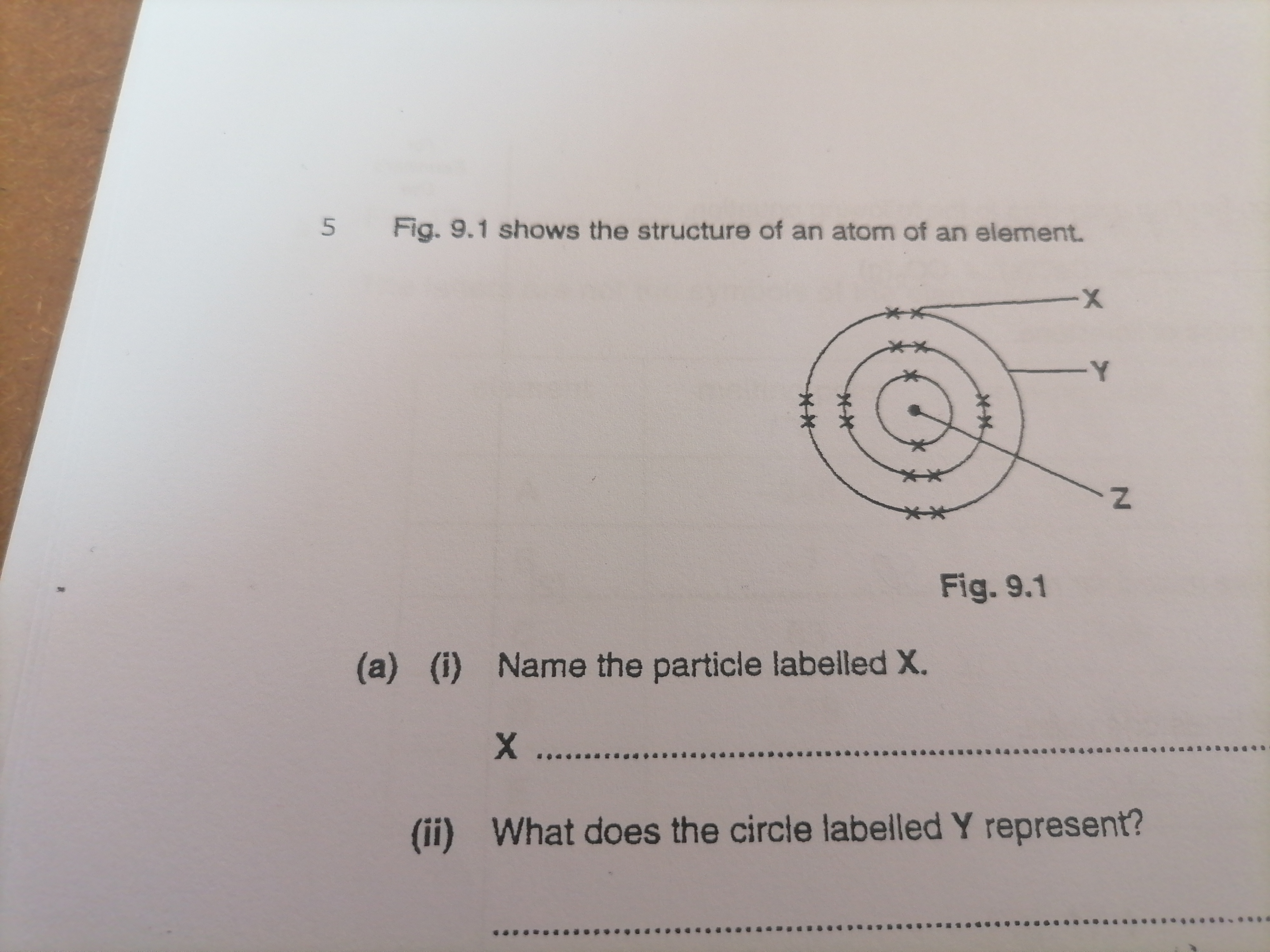 studyx-img