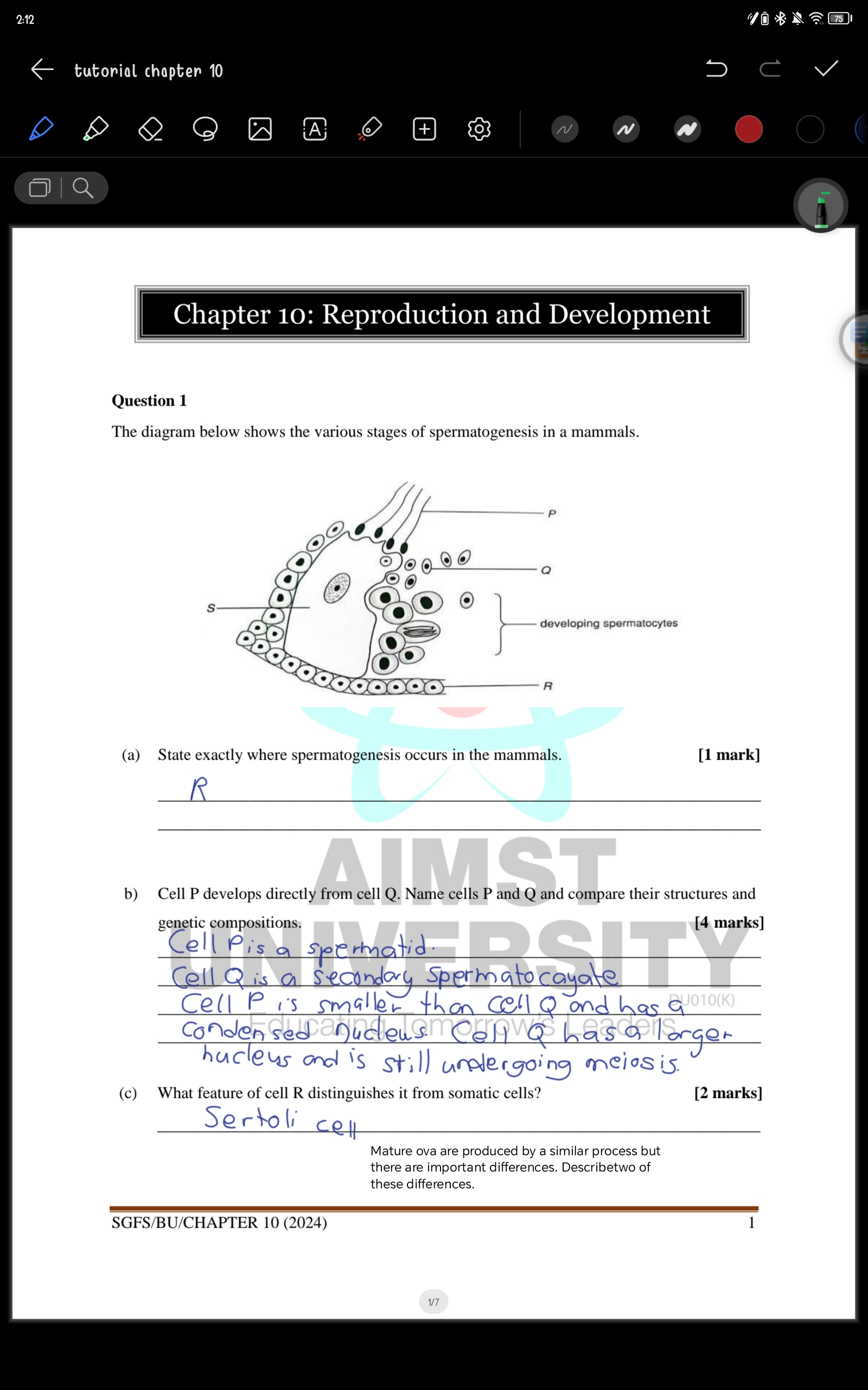 studyx-img