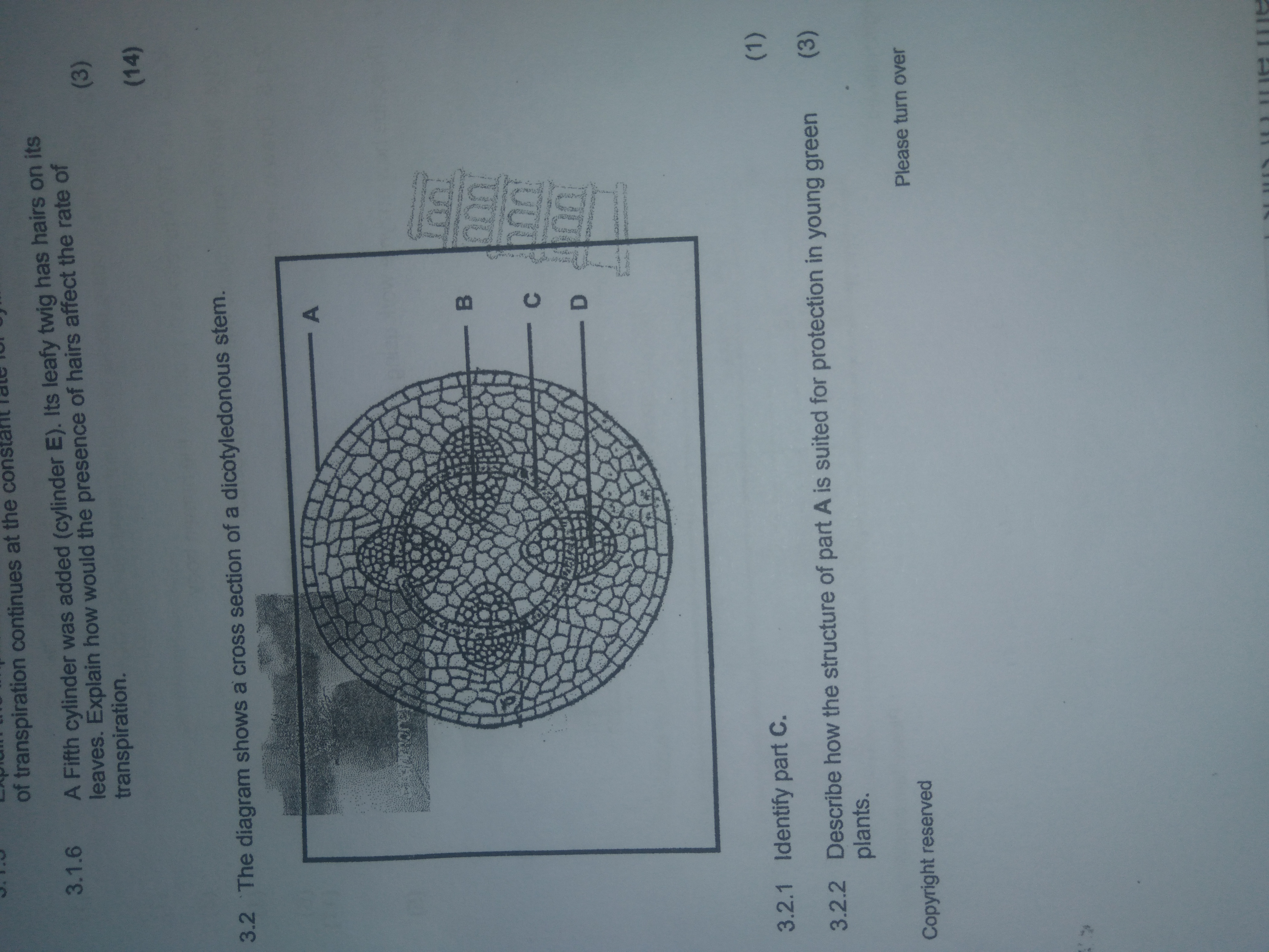 studyx-img