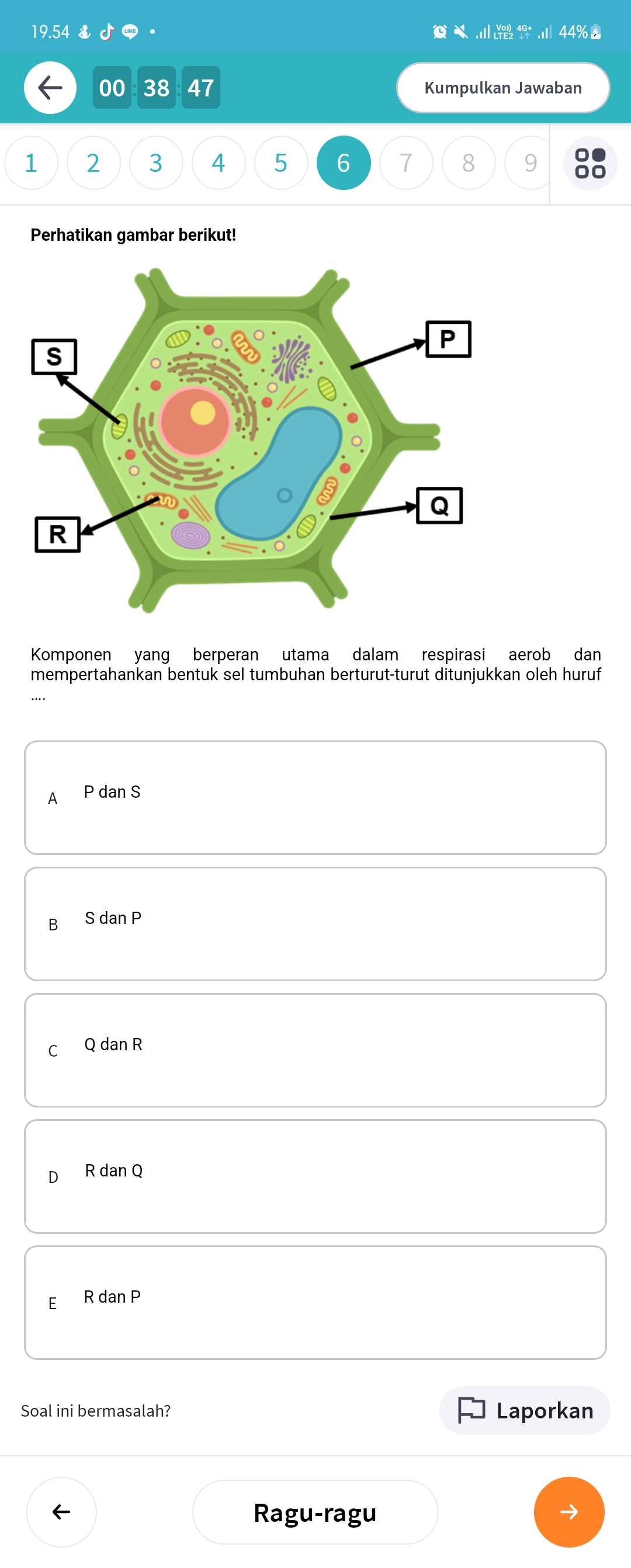 studyx-img