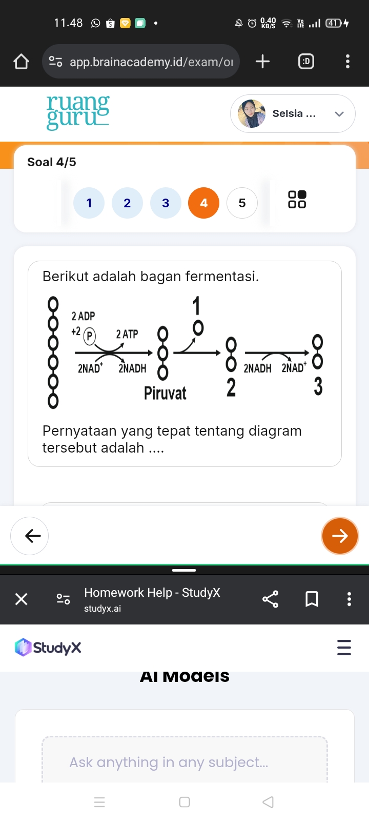 studyx-img