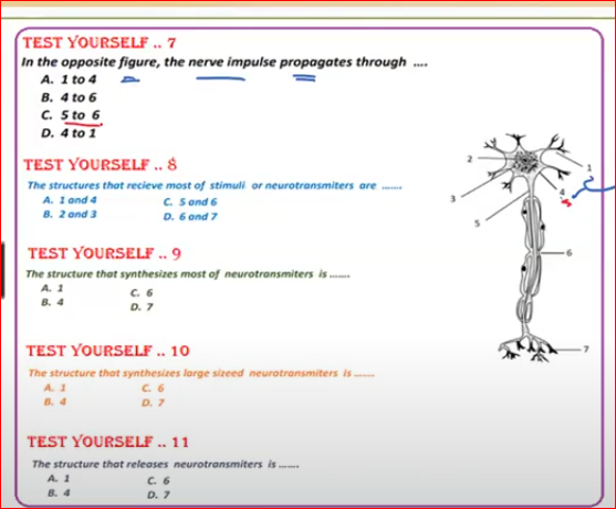 studyx-img