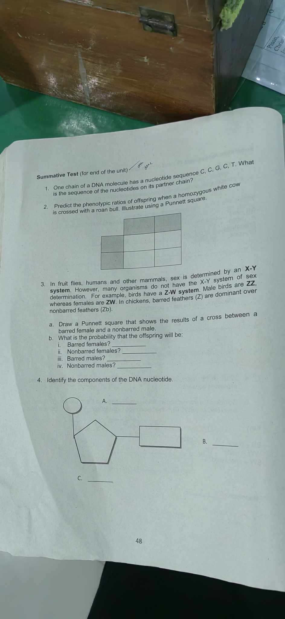 studyx-img