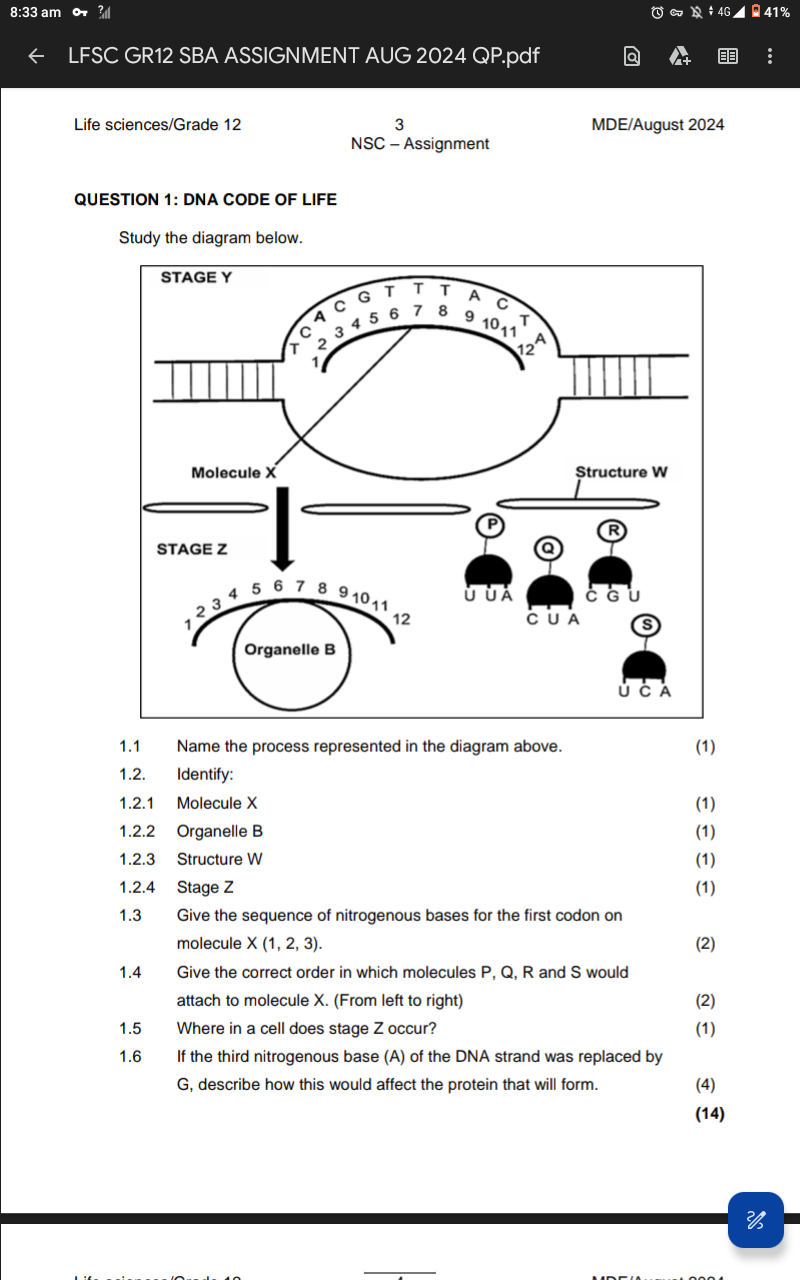 studyx-img