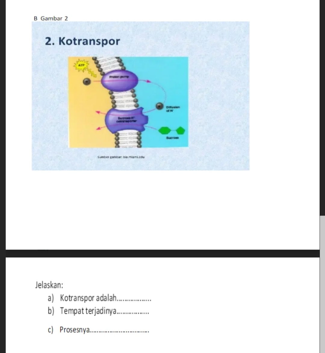 studyx-img