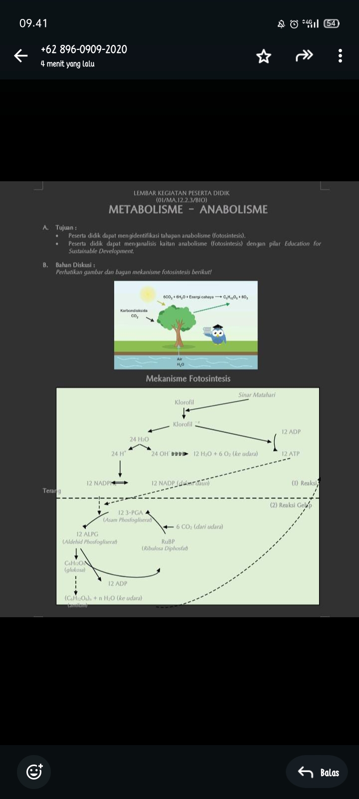 studyx-img