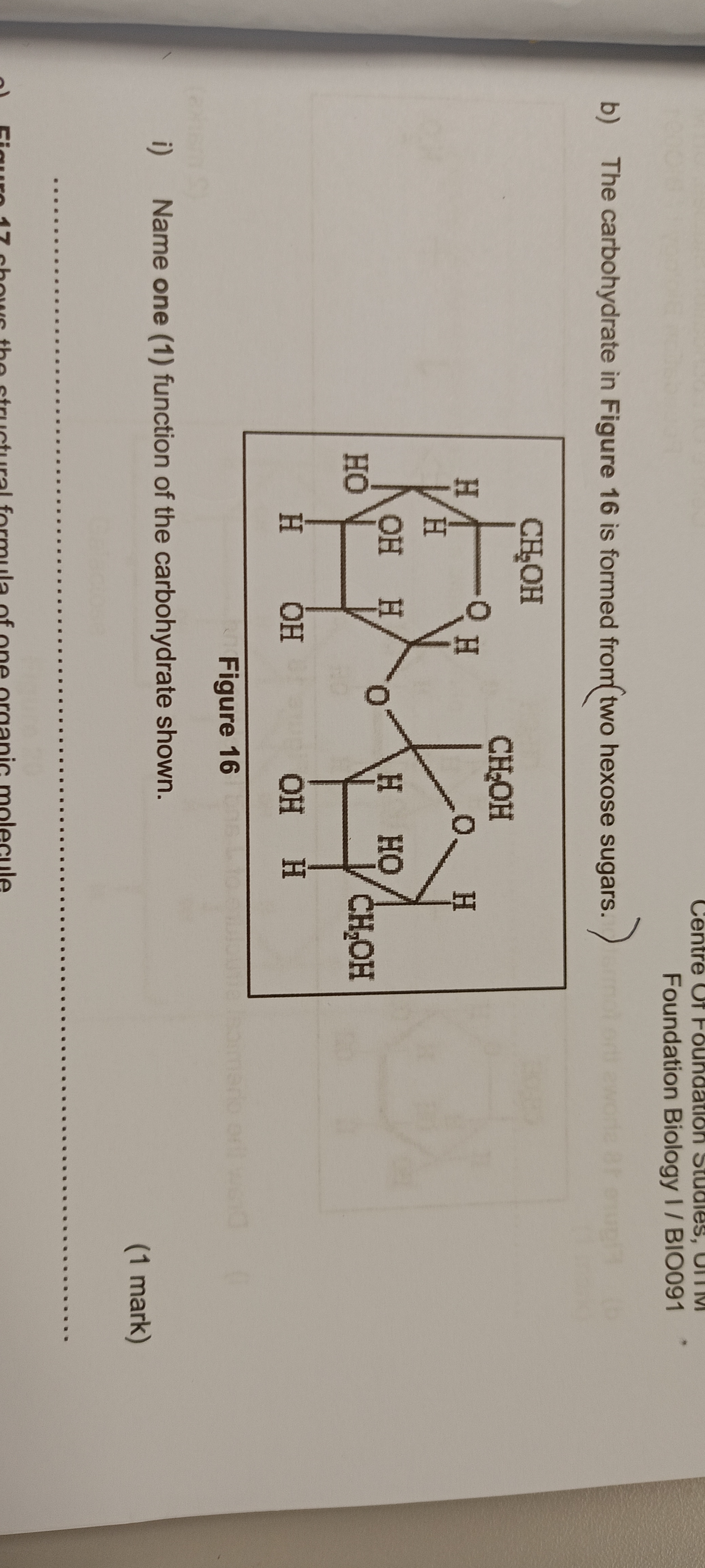 studyx-img