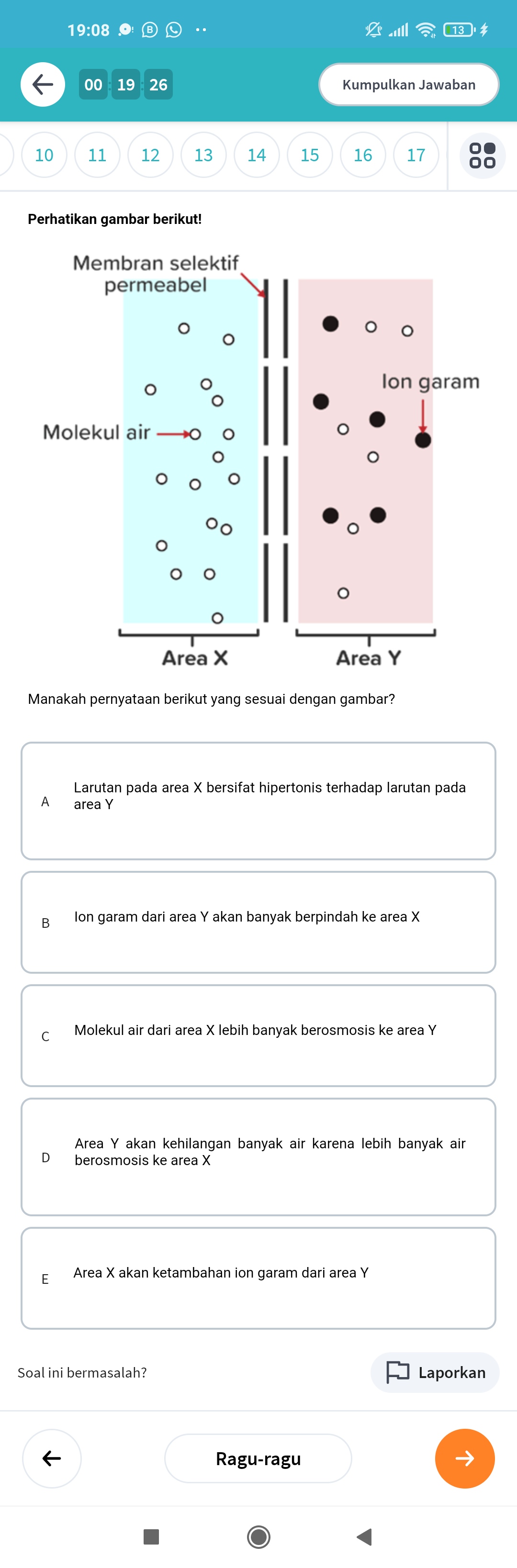 studyx-img