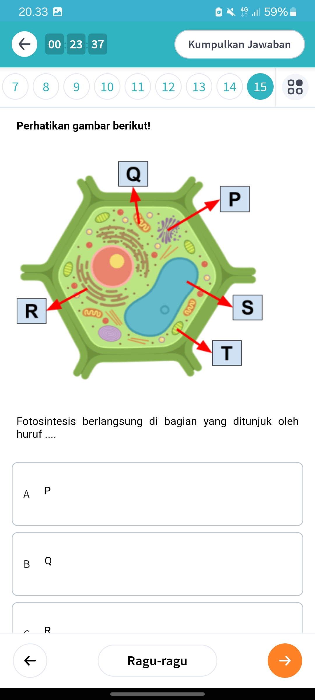 studyx-img