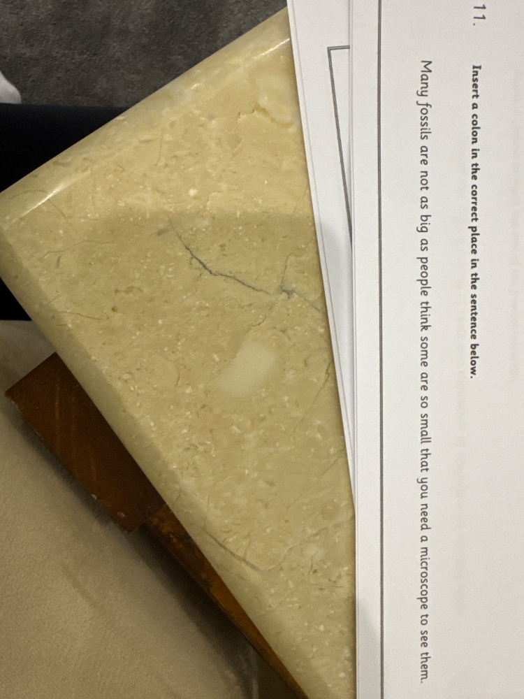 11. Insert a colon in the correct place in | StudyX