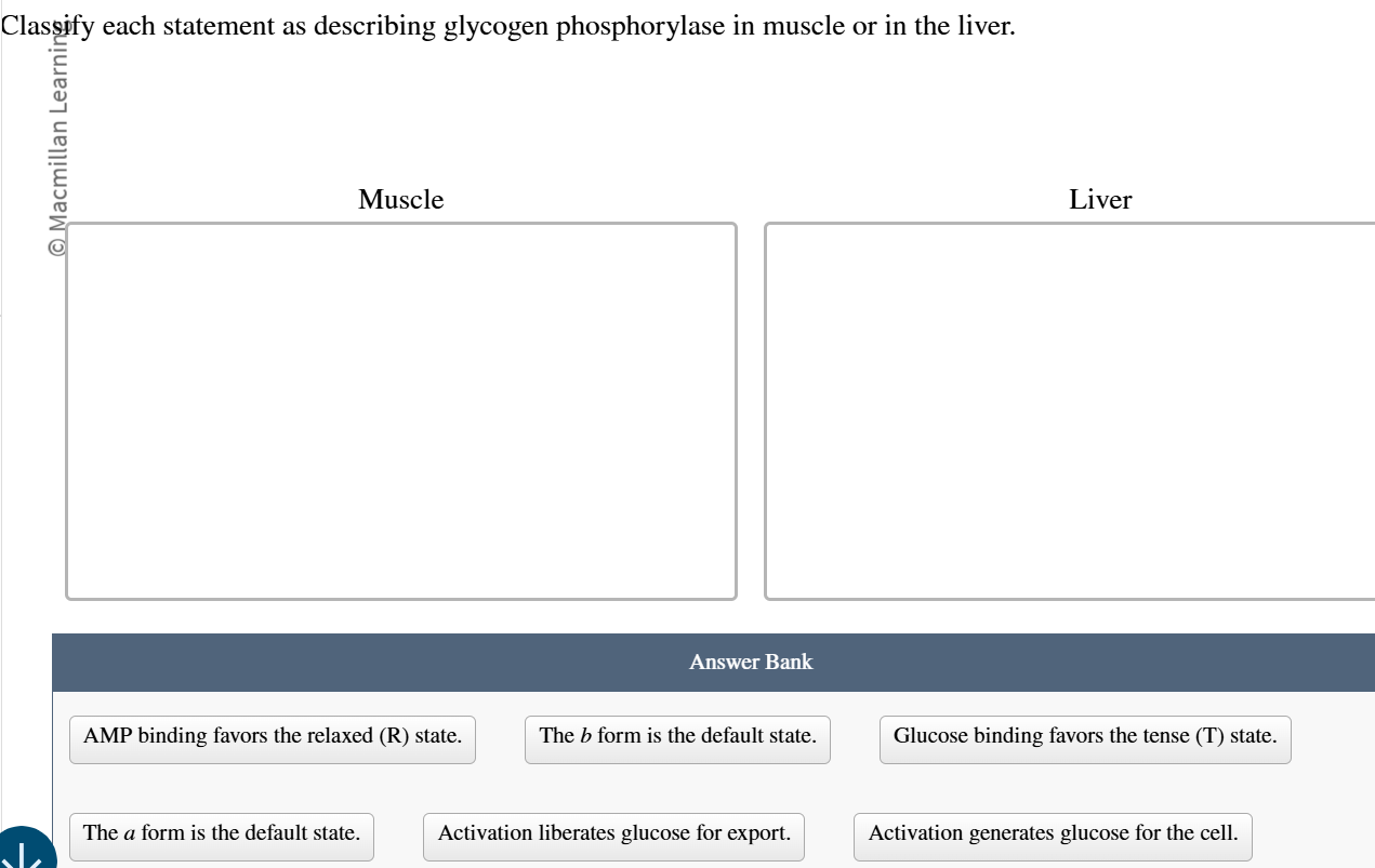 Classify each statement as describing | StudyX