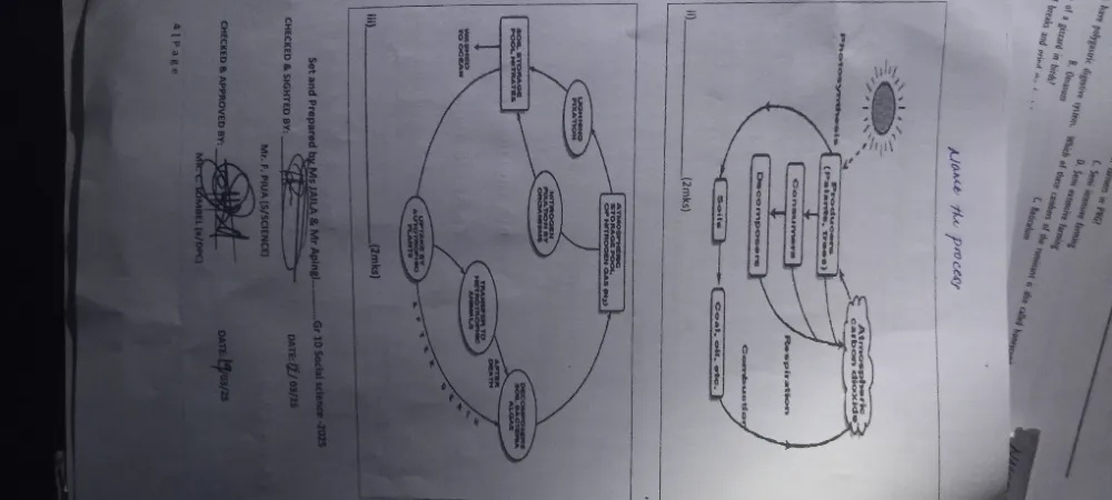 Name the process (i) Diagram of a cycle | StudyX
