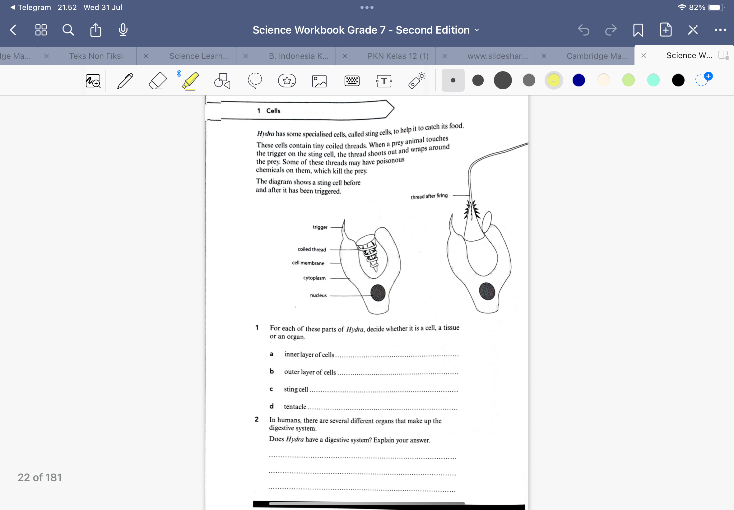 studyx-img