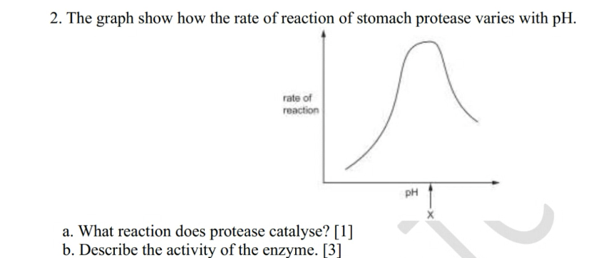 2. The graph show how the rate of reaction | StudyX