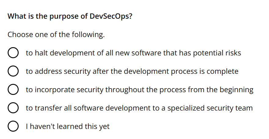 What is the purpose of DevSecOps? Choose one