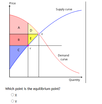 Which point is the equilibrium point? X Y | StudyX