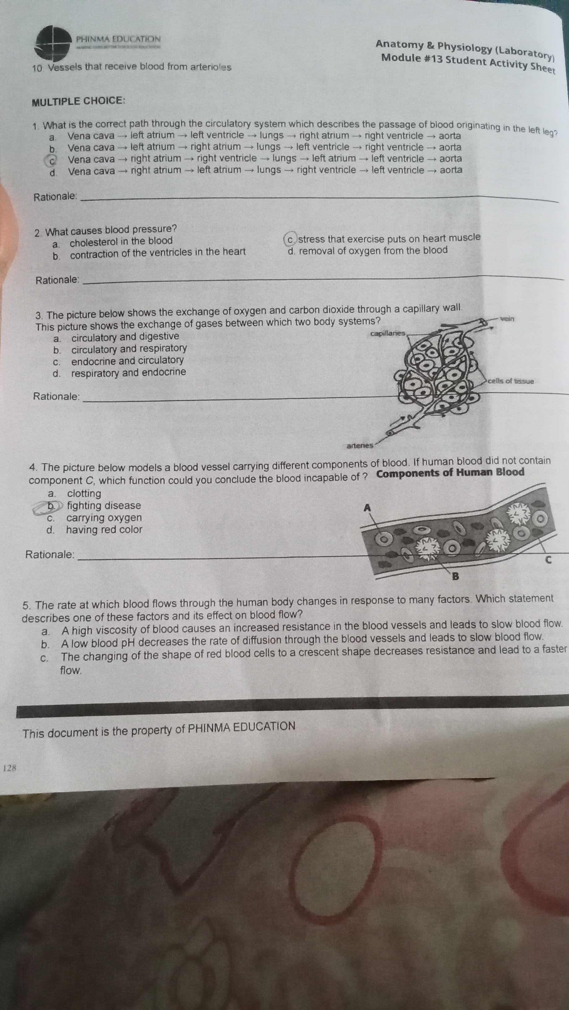 studyx-img