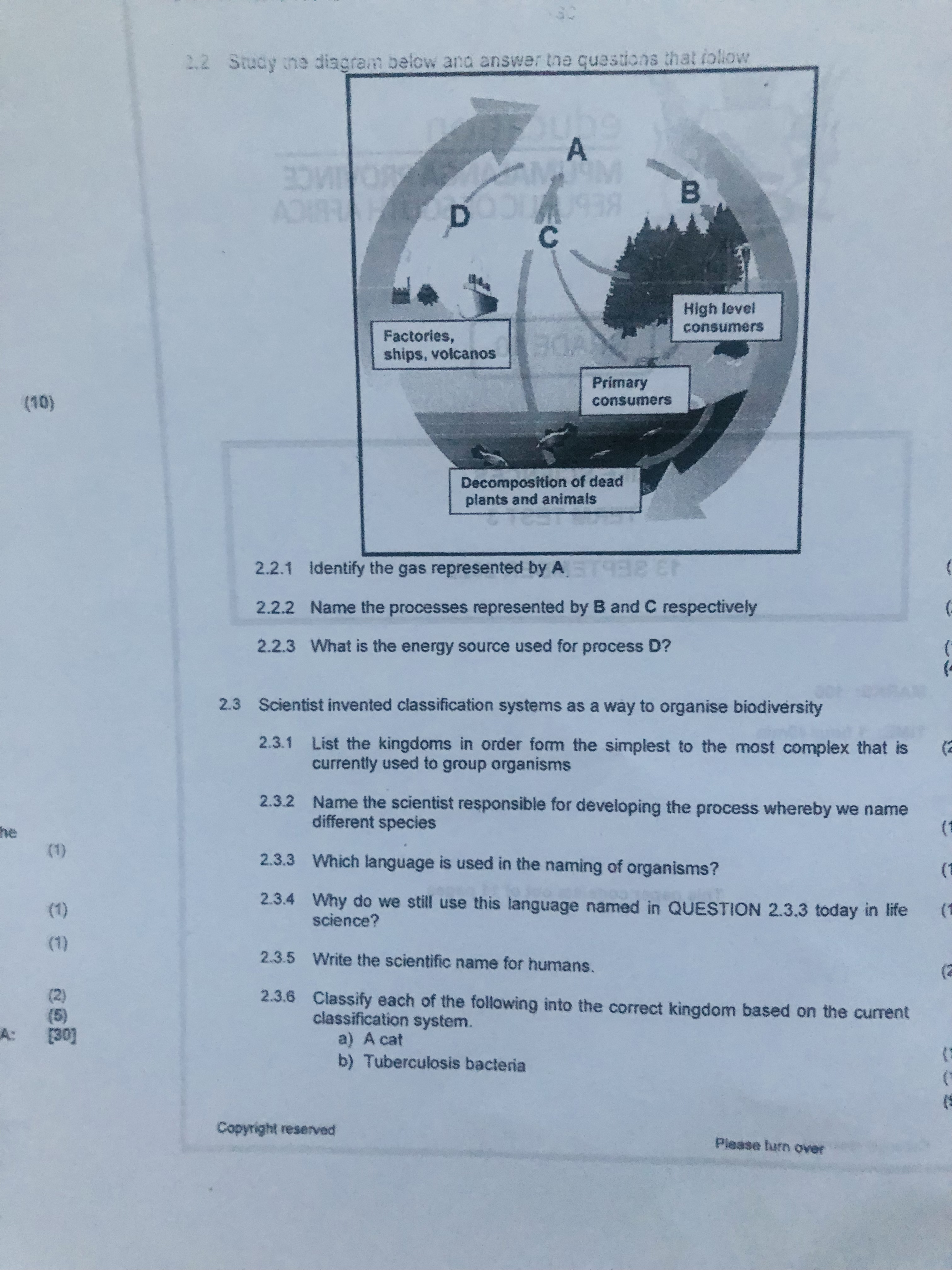 studyx-img