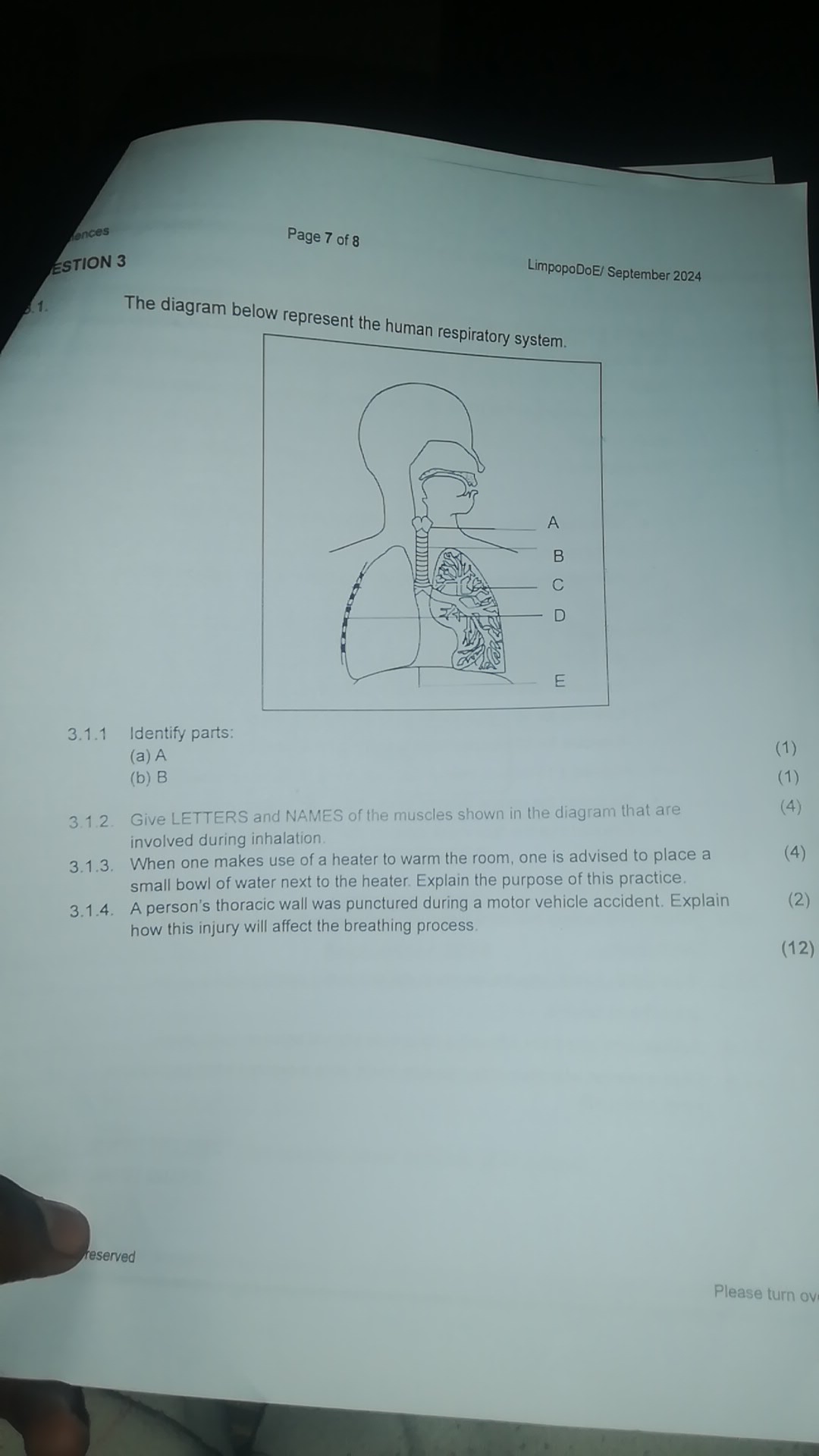 studyx-img