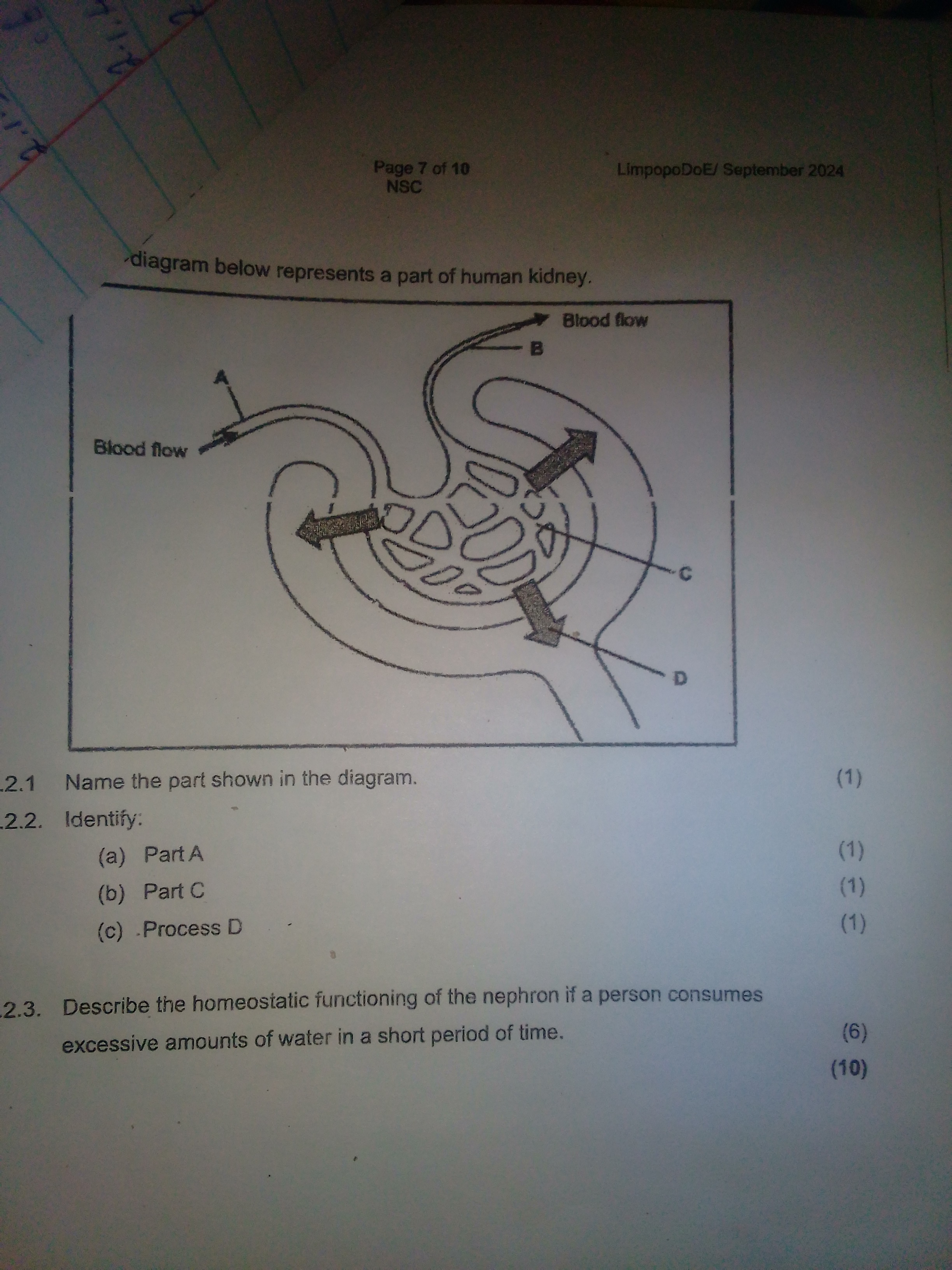 studyx-img