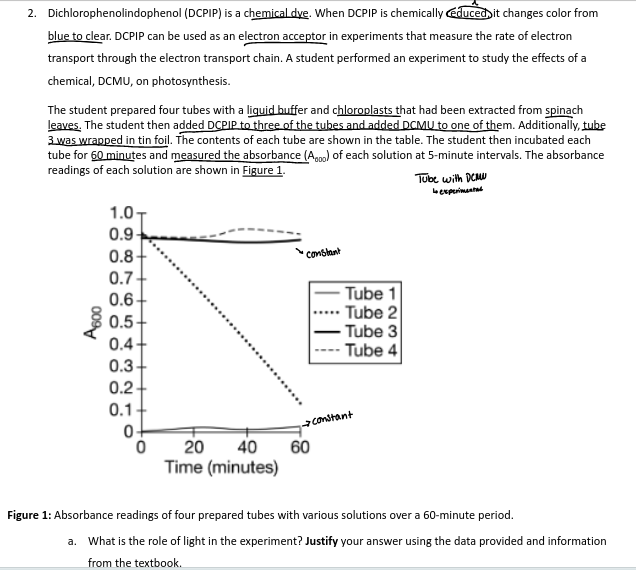 studyx-img