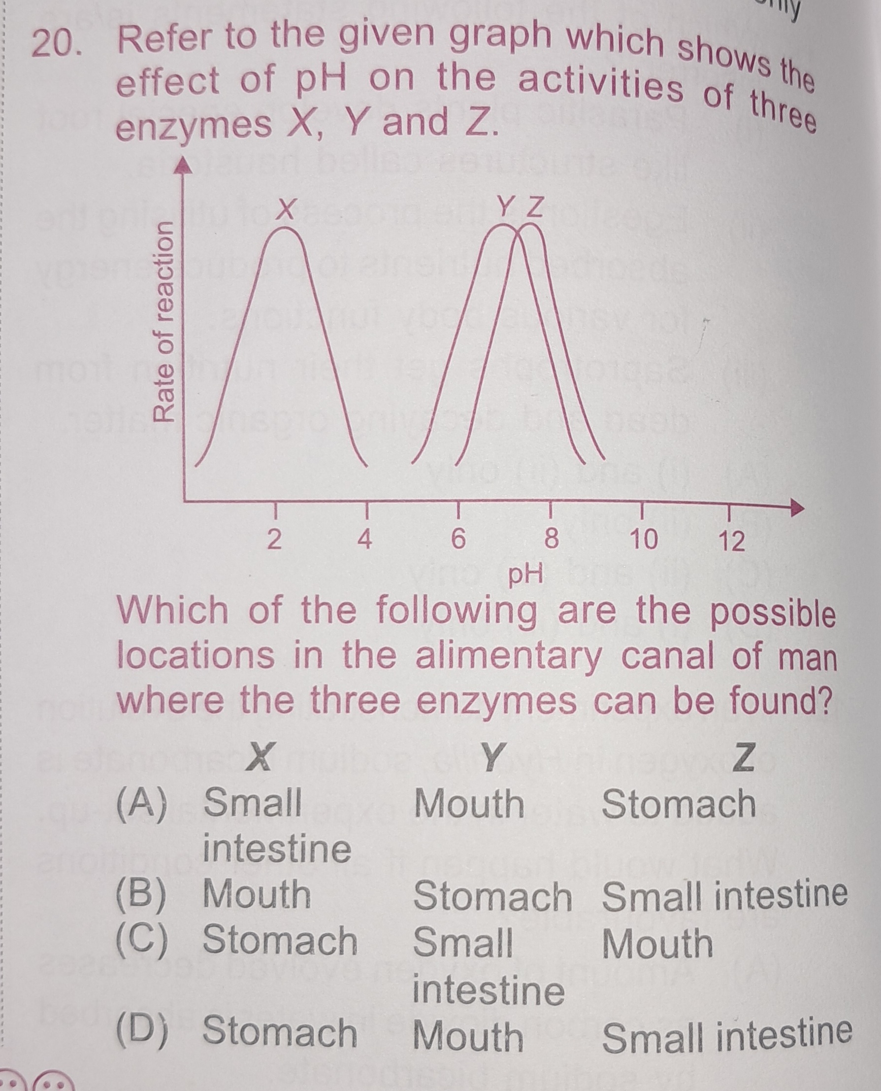 studyx-img