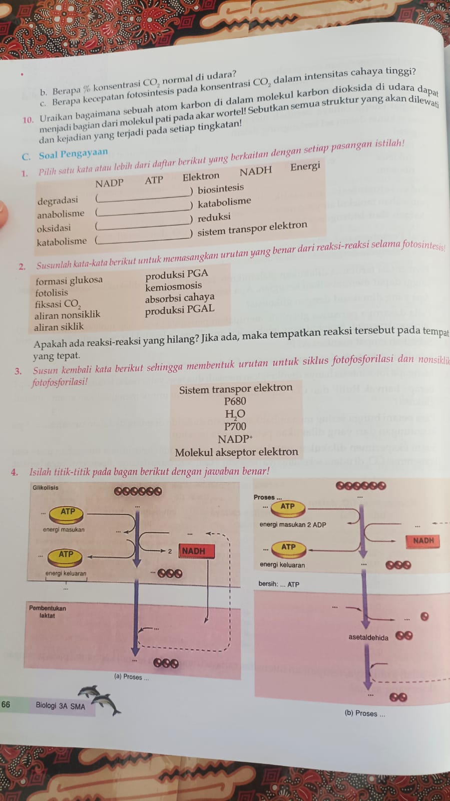 studyx-img