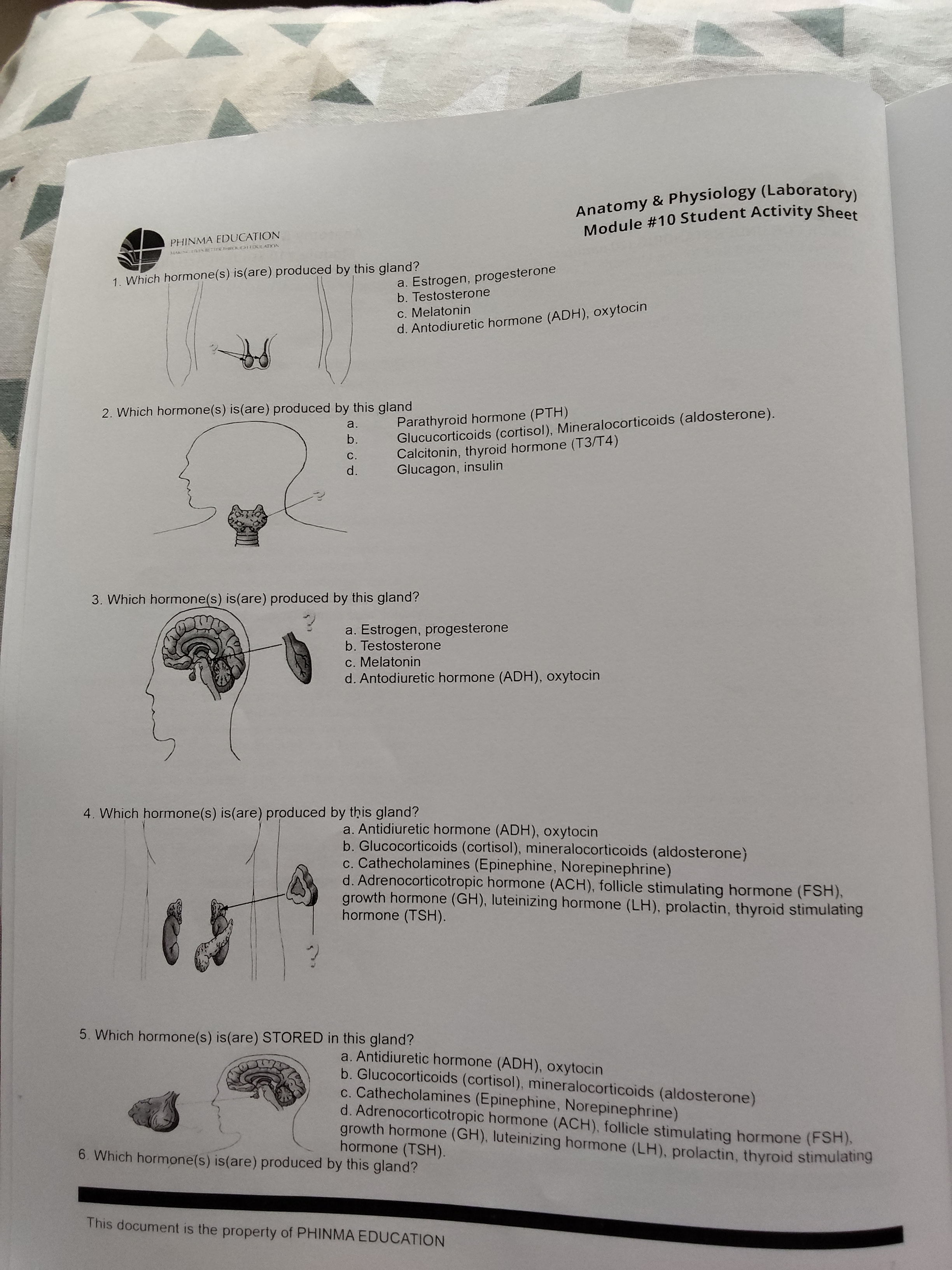 studyx-img