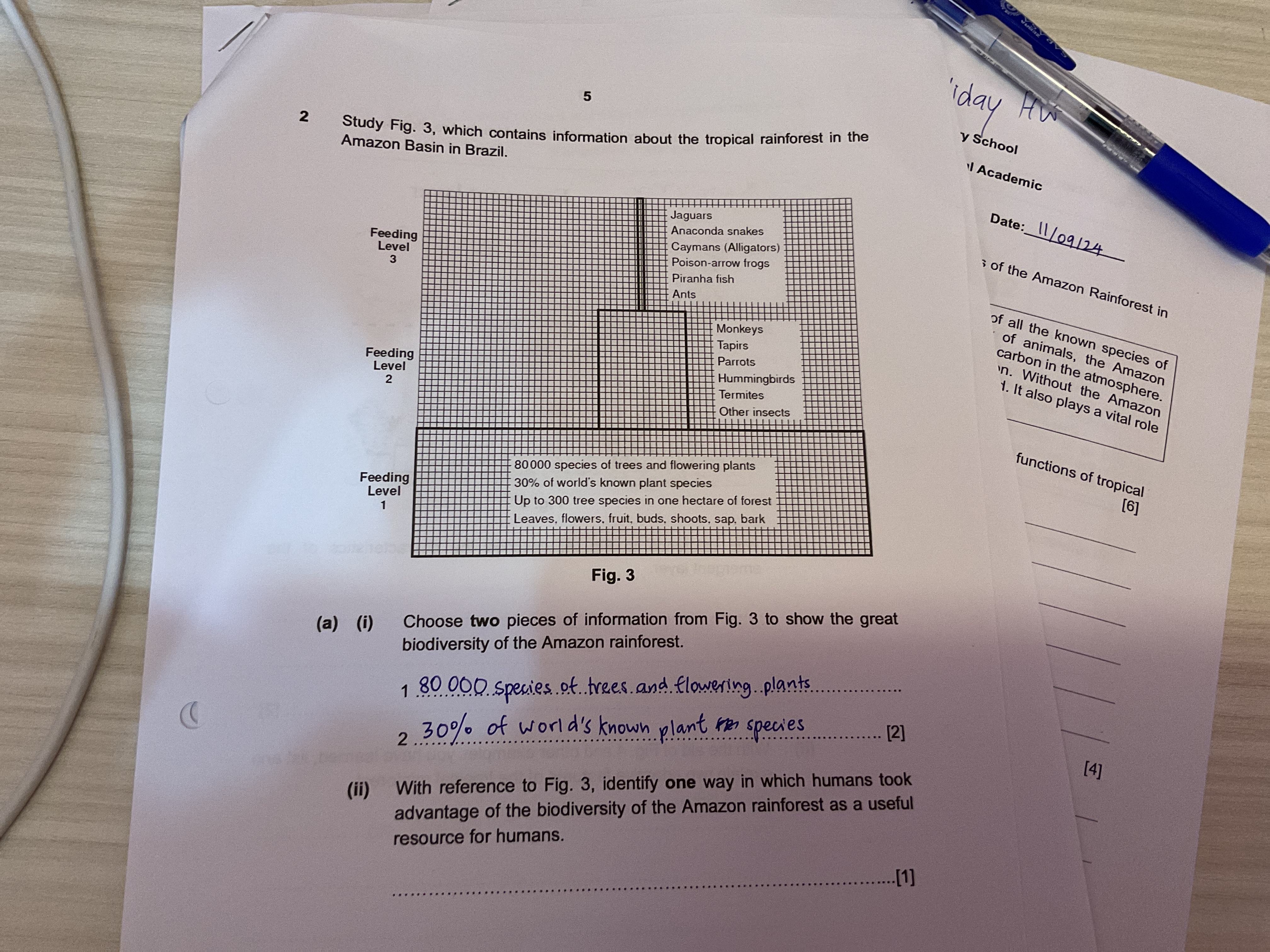 studyx-img