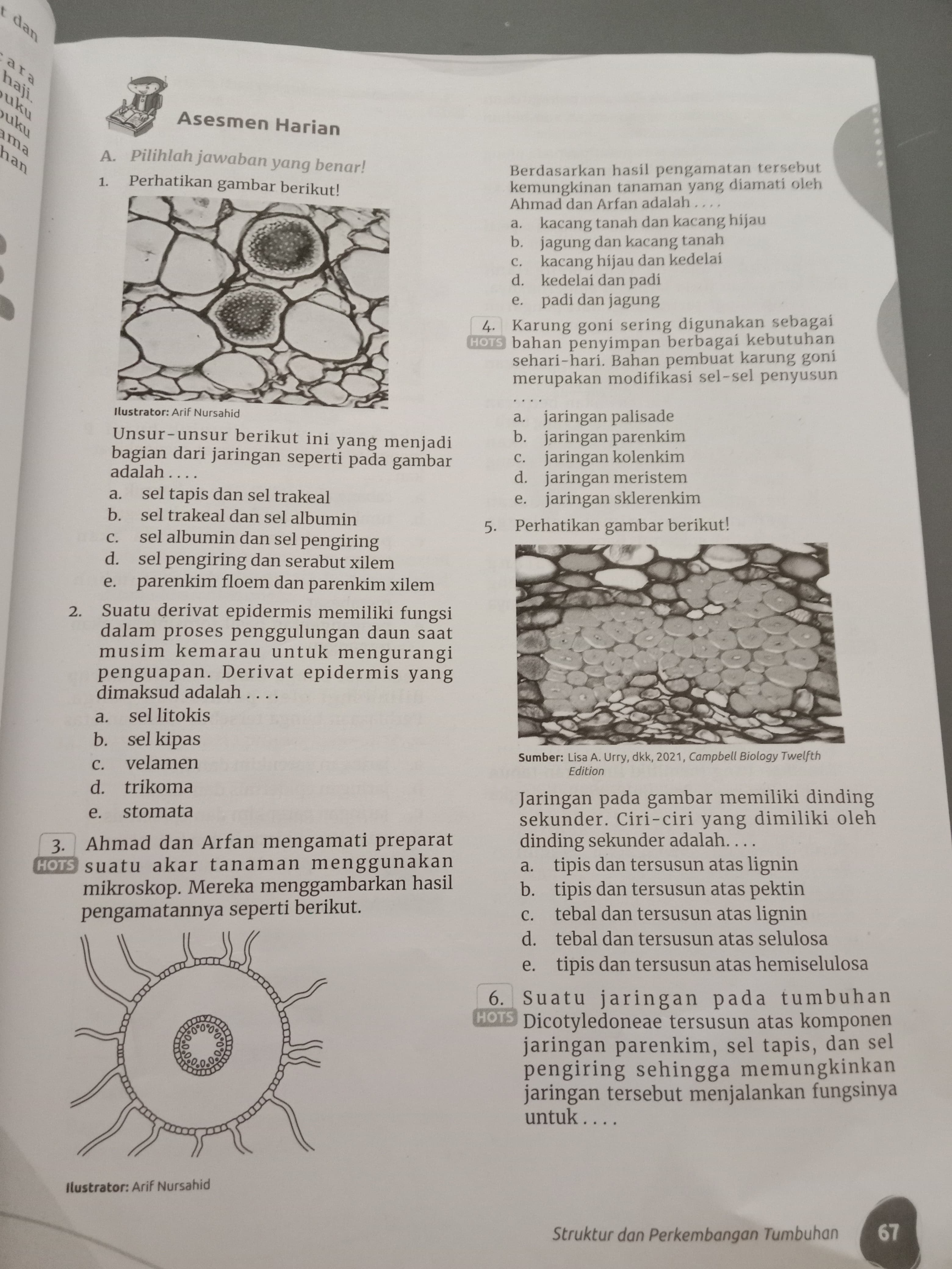 studyx-img