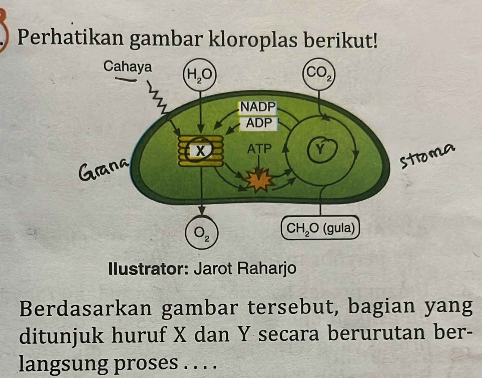 studyx-img