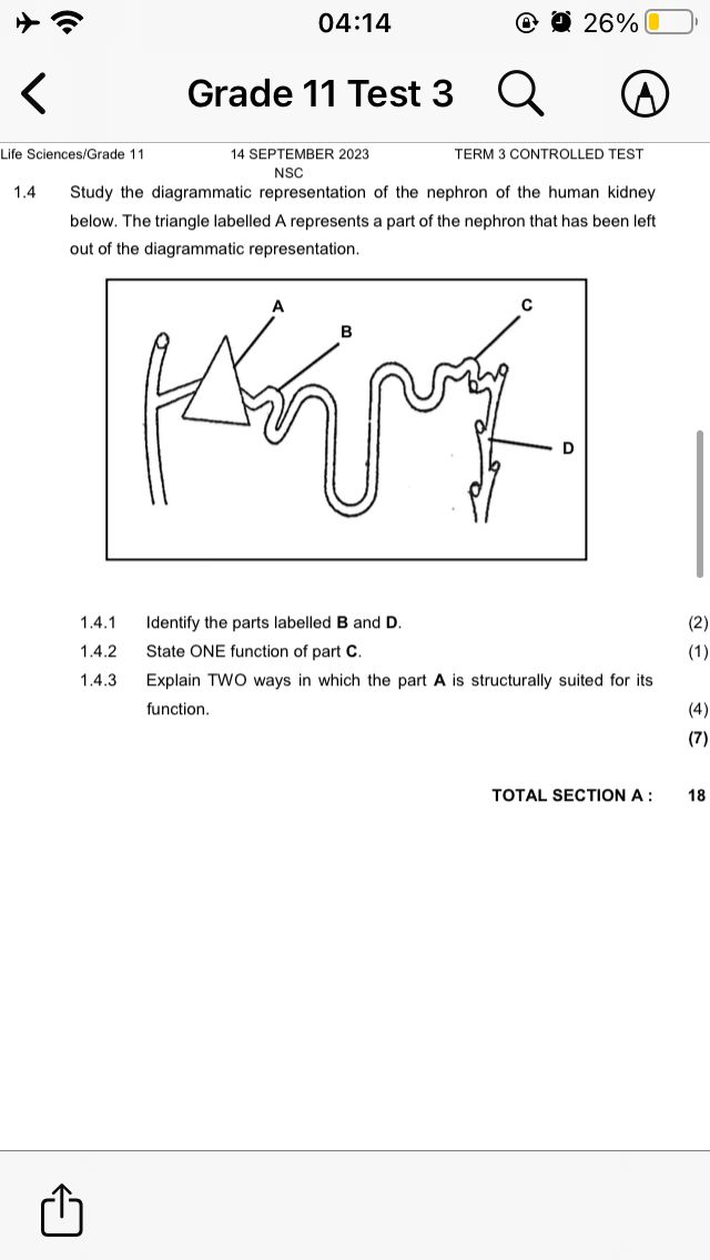 studyx-img