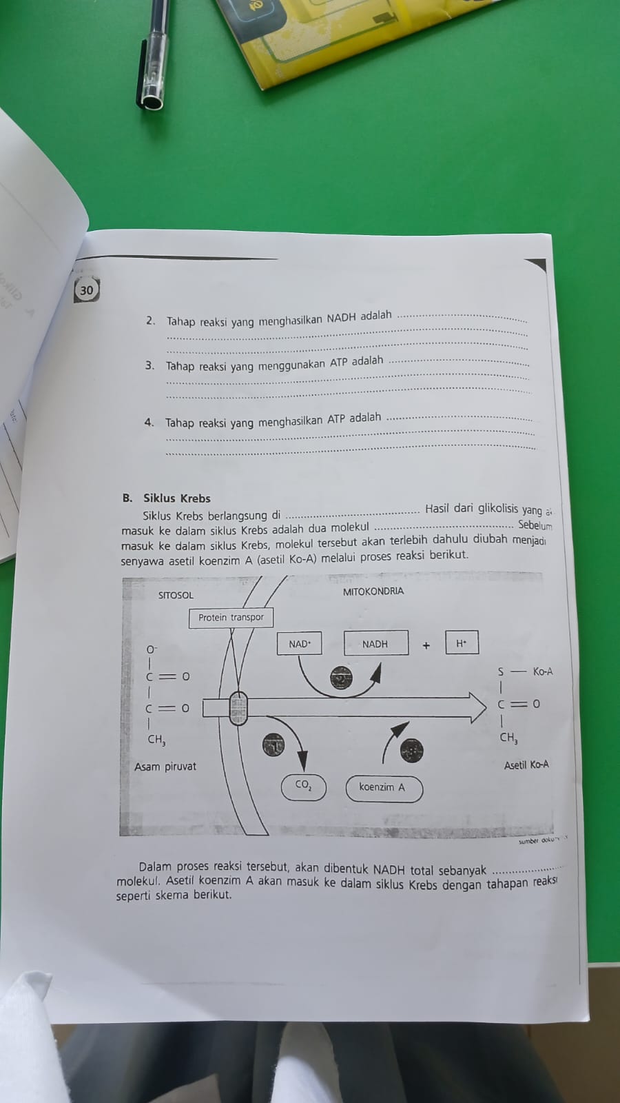 studyx-img